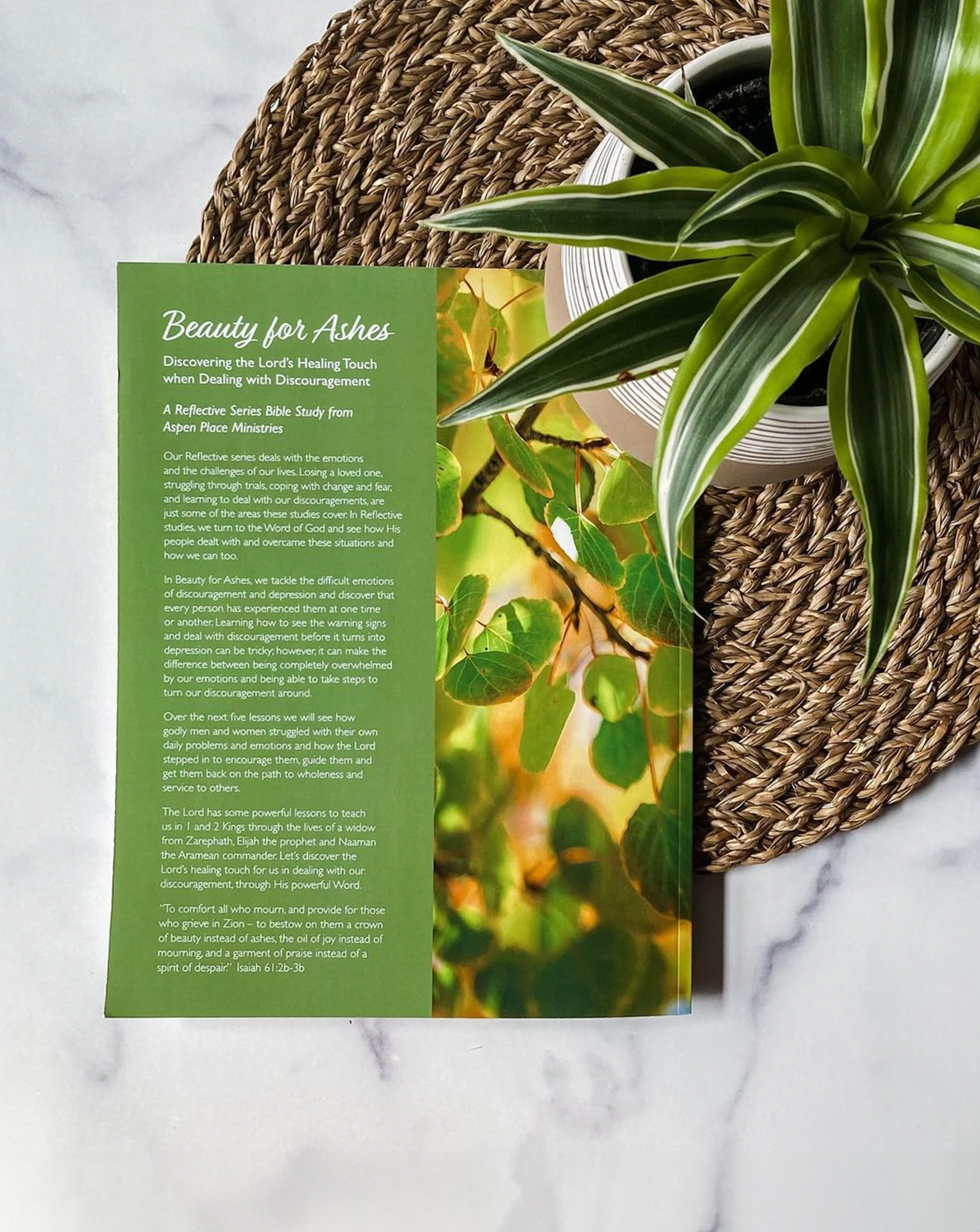 BeautyForAshes_Mockup_Website_Vertical_Back.png