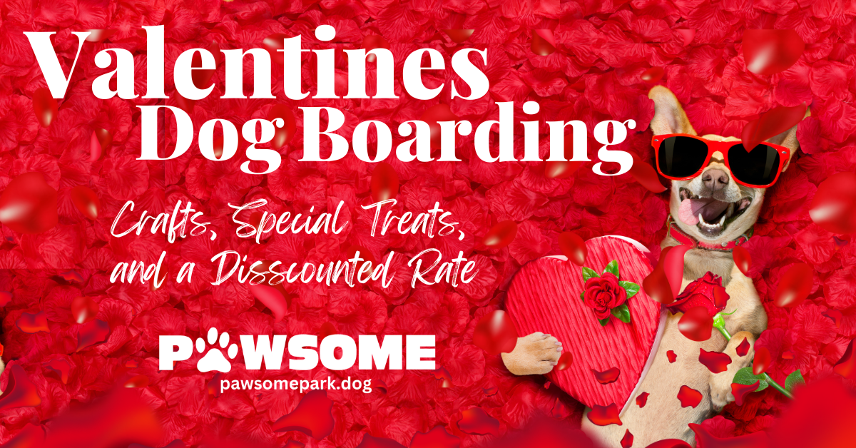Valentines Boarding Special