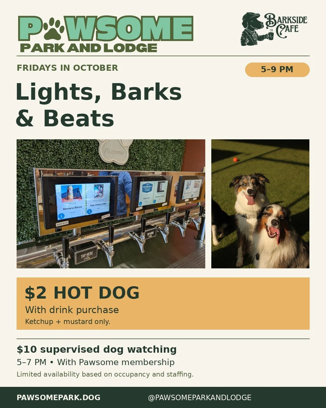 Lights, Barks &amp; Beats Fridays at Barkside Cafe