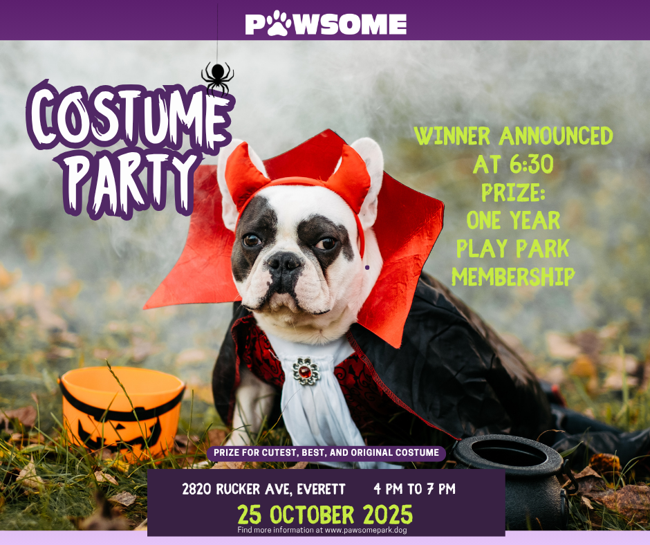 Dog in vampire costume with text that reads "Costume Party for Dogs at Pawsome Park and Lodge in Everett"