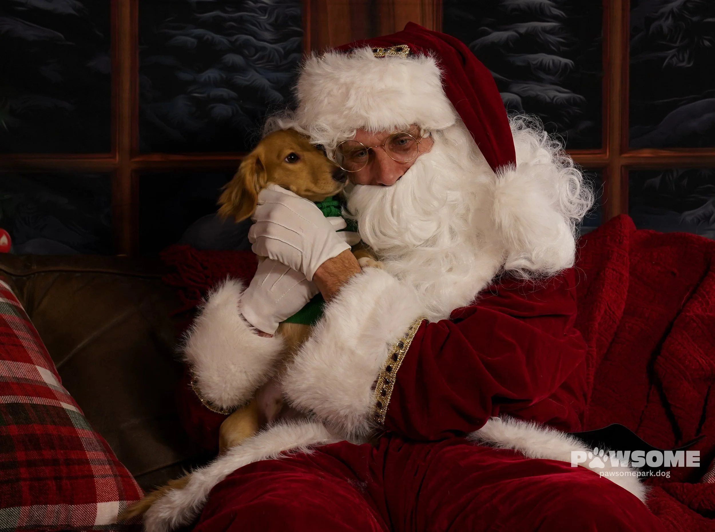 A golden colored dachshund tells Santa what's on his Christmas list
