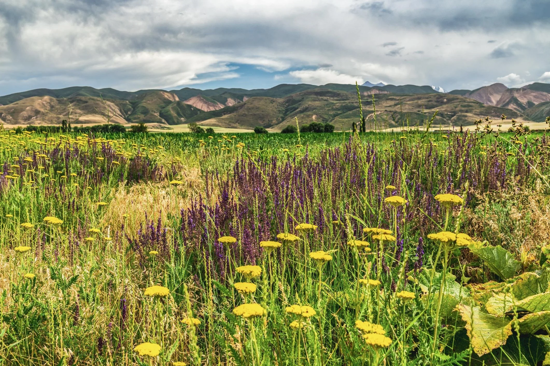 Impossible to Monopolise