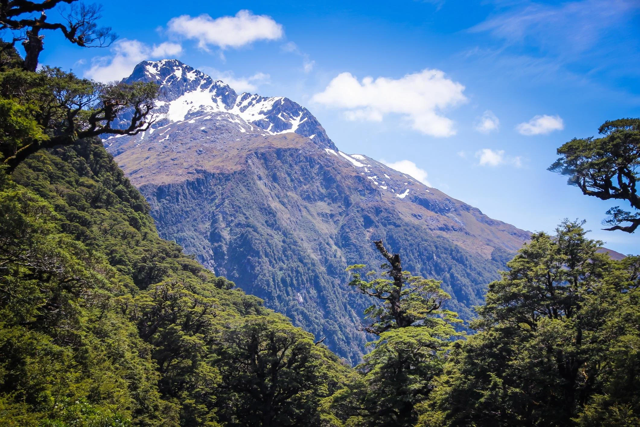 What Does New Zealand Honey Do to the Taste of Mead?