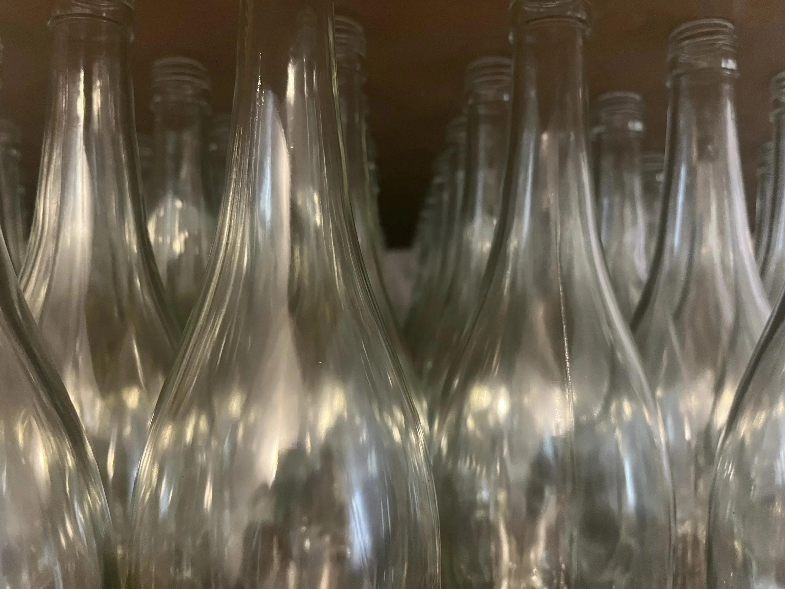 The joy of bottles remade from curbside recycling.