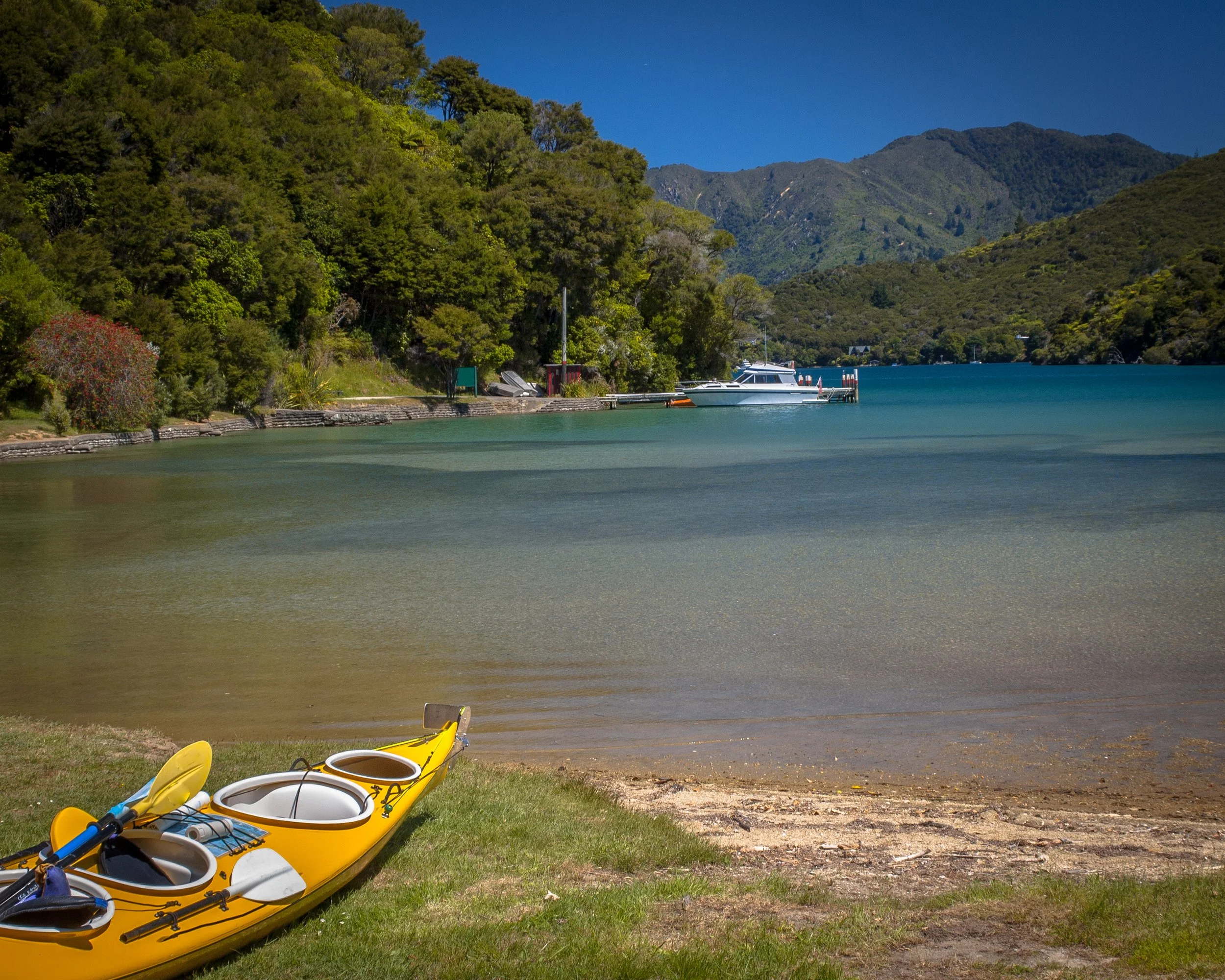 kayak-on-the-shore-in-marlborough-sounds-2026-01-09-01-14-12-utc.jpg