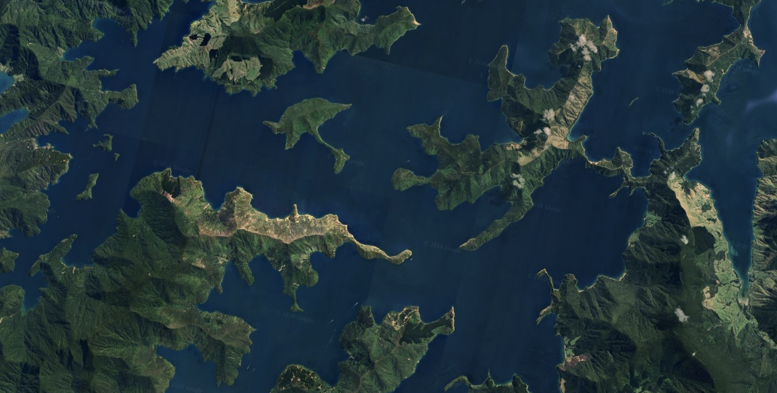 Screenshot 2026-02-14 at 9.35.22 AM.png