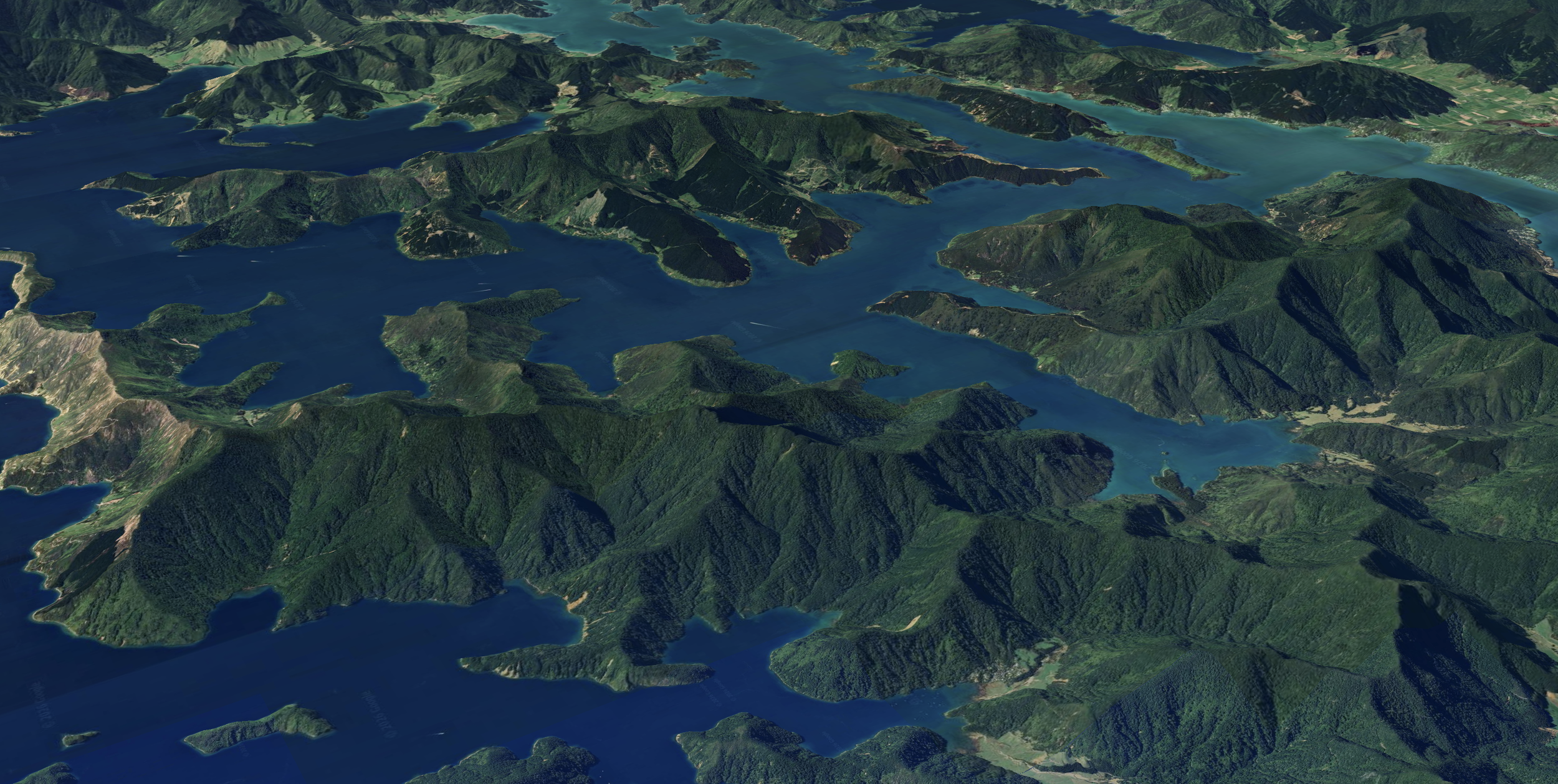 Screenshot 2026-02-14 at 9.43.12 AM.png