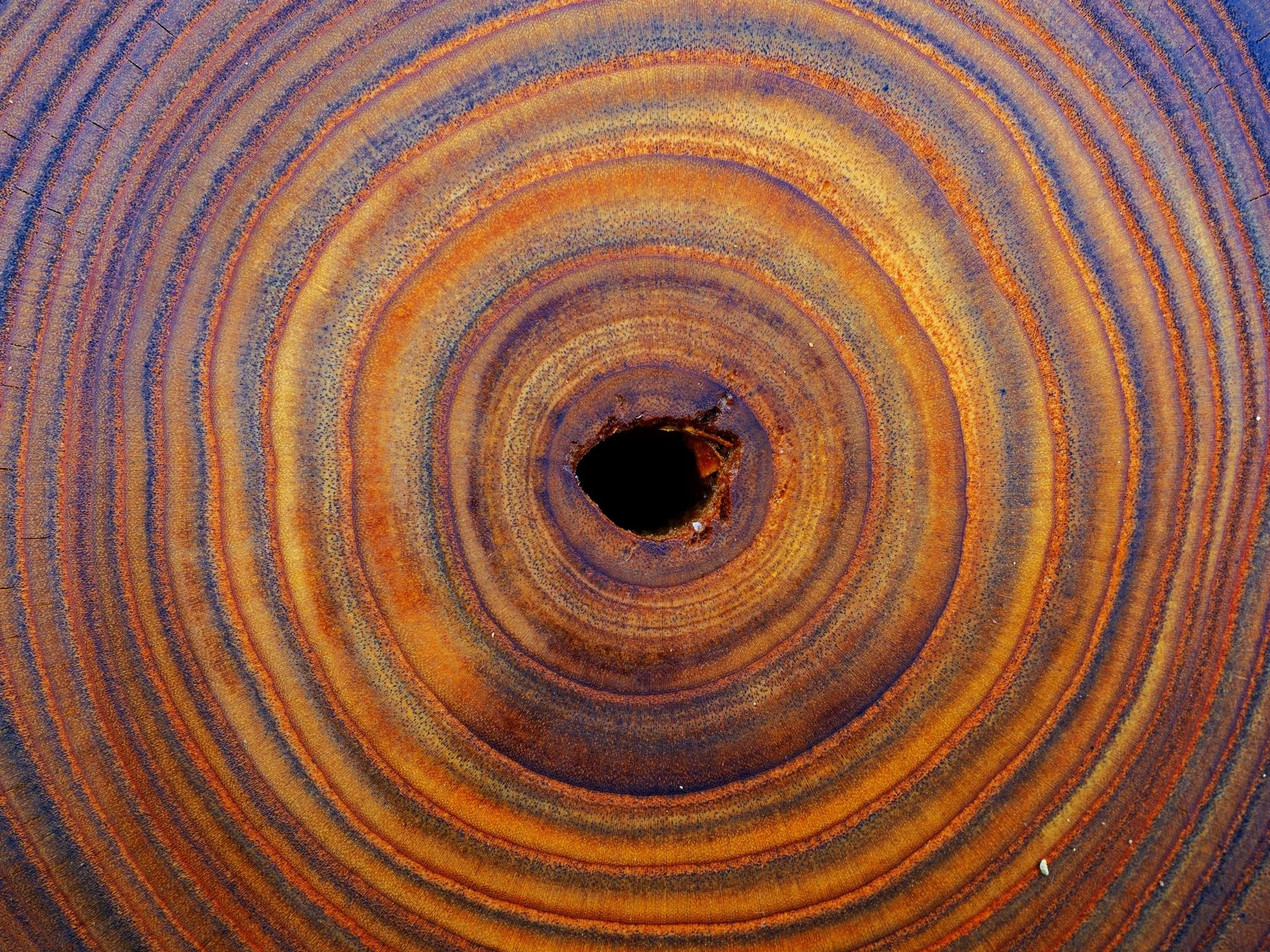 TIME WON'T WAIT - 2024