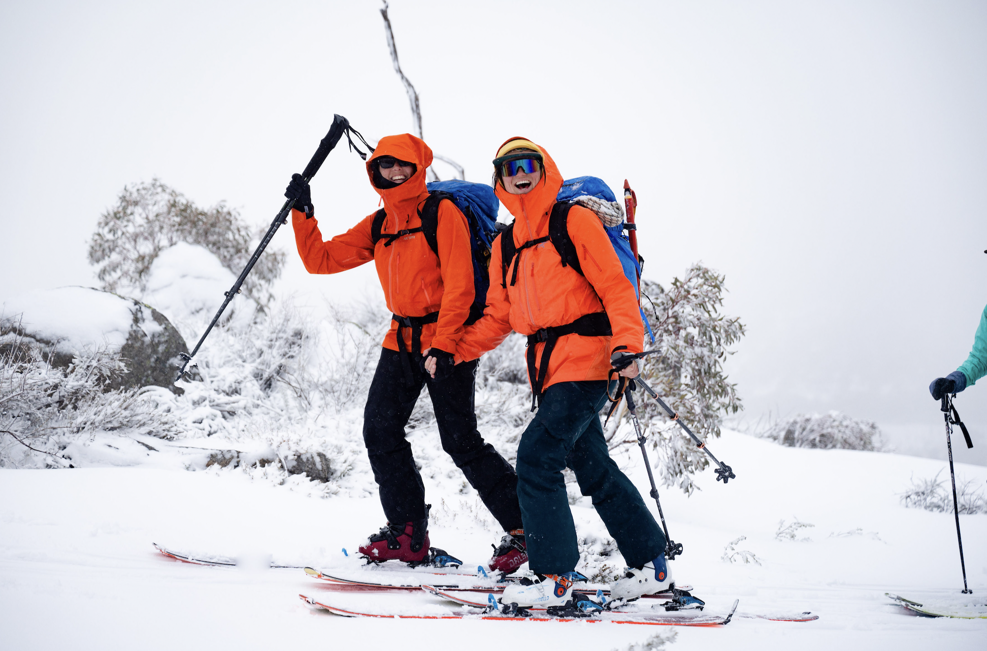 Screenshot 2024-06-24 at 11.46.05 AM.png