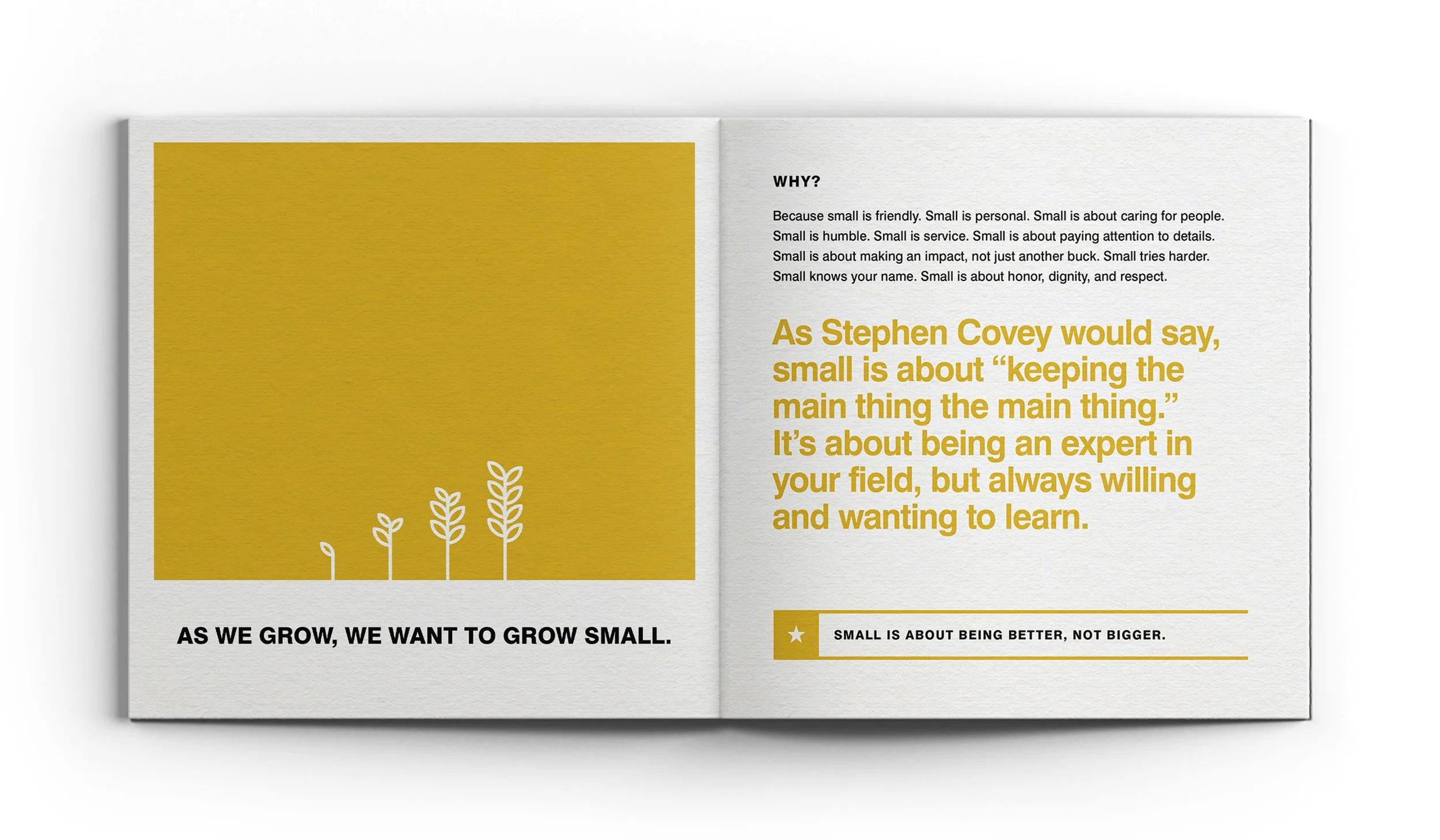 CSABook_SITE-SizedImages-Horiz-FINAL-Spread5.jpg