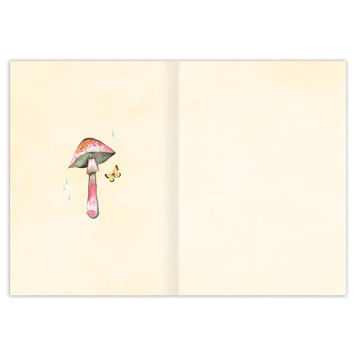 Image 22.jpeg