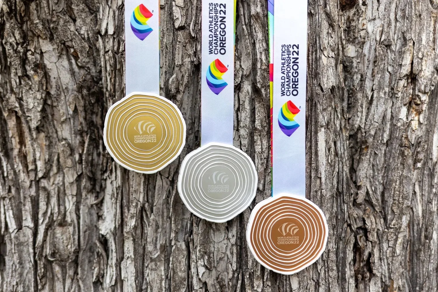 Oregon 22 Gold Silver and Bronze Medal designs