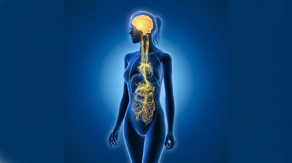 Vagus Nerve Sequence and Stretch