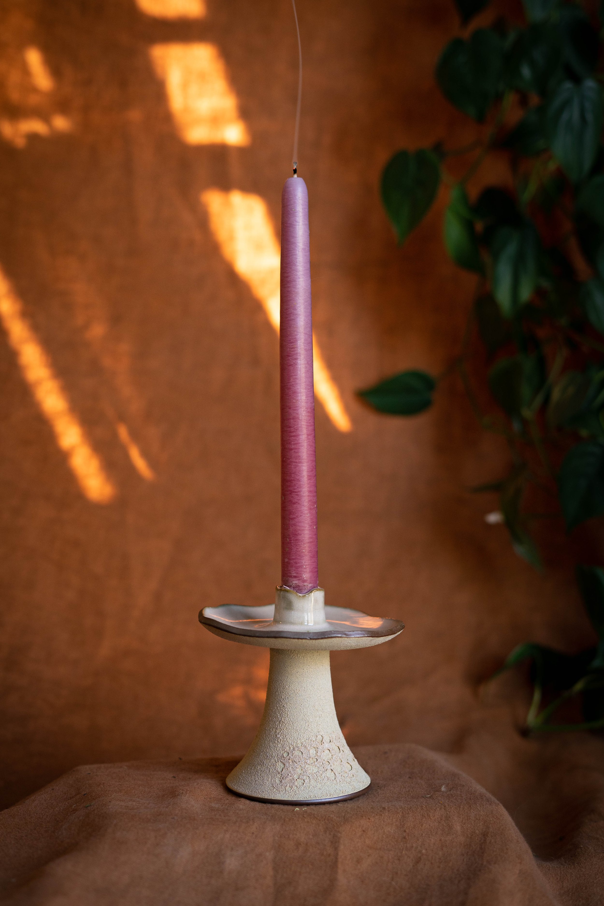 DSC09143-2.jpg