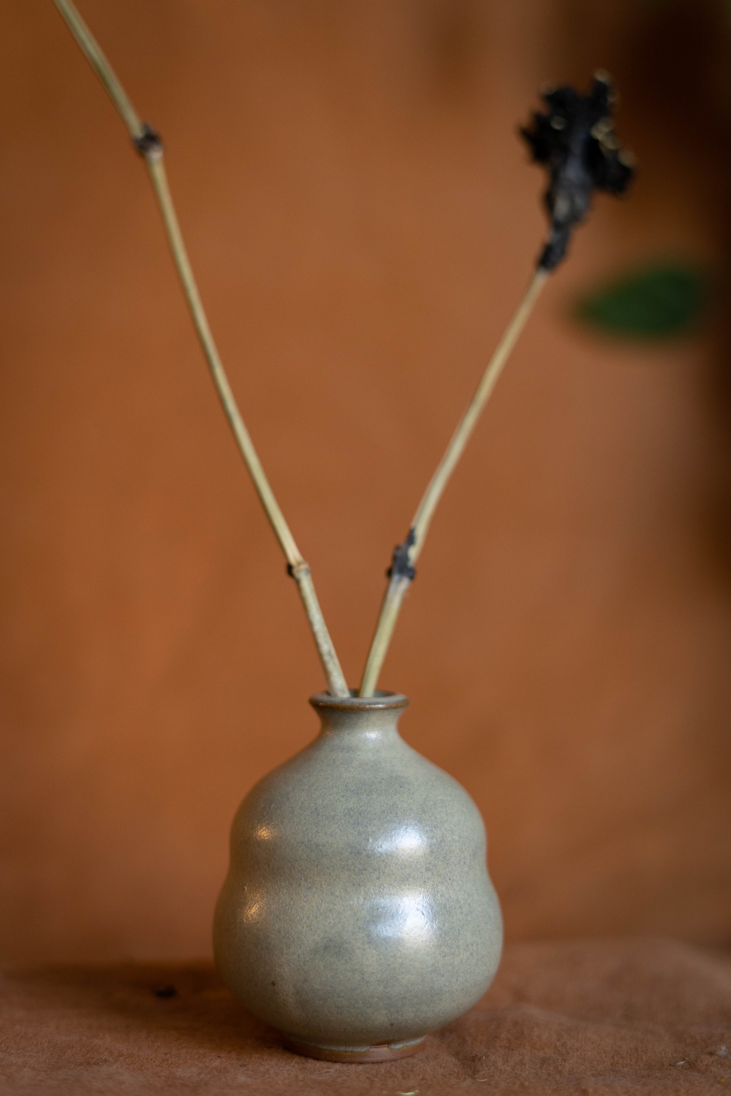 DSC09190.jpg