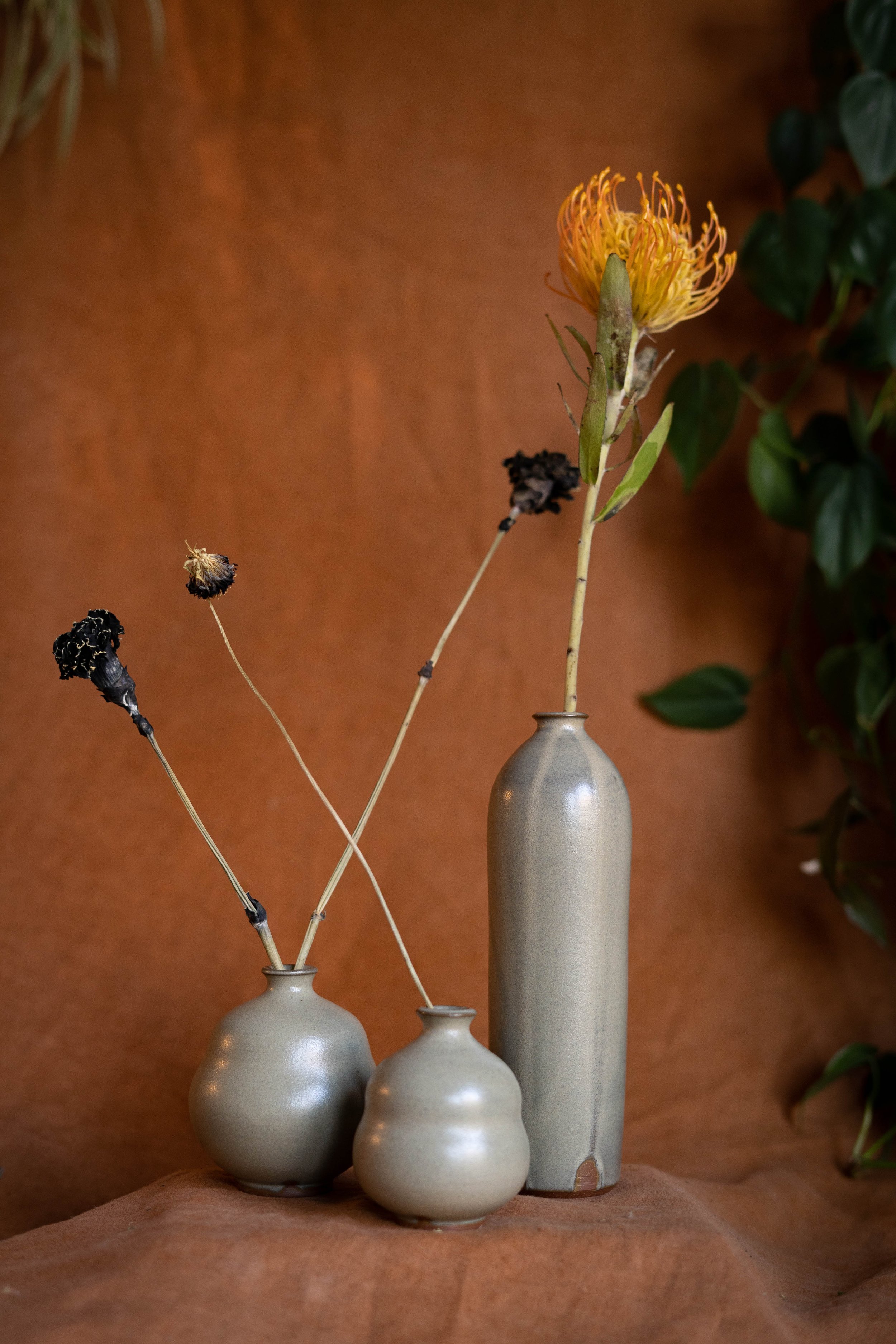 DSC09193-2.jpg