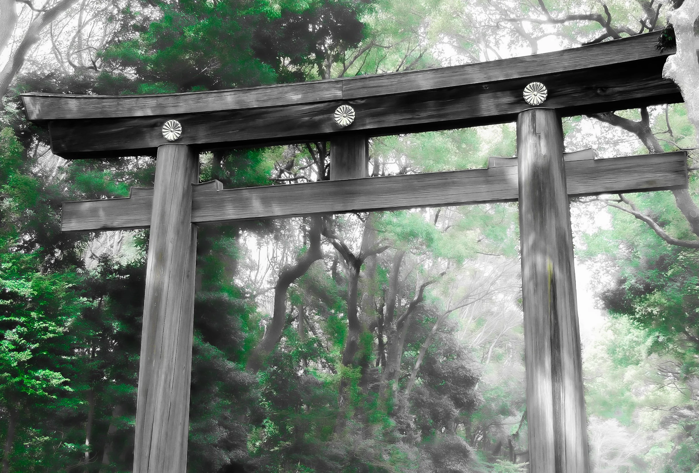 Meiji-jingu.jpg