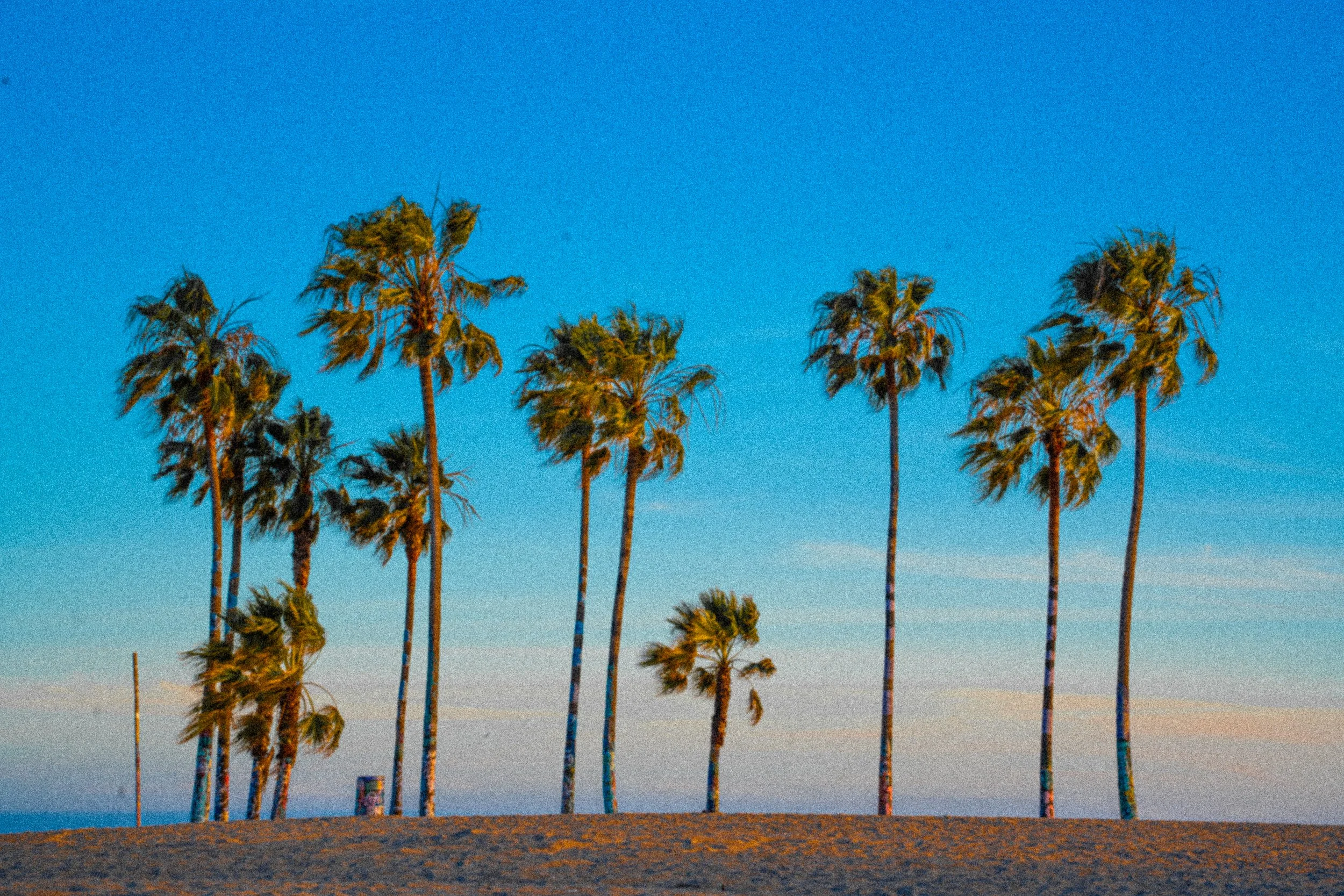 Vintage Venice Beach-1.jpg