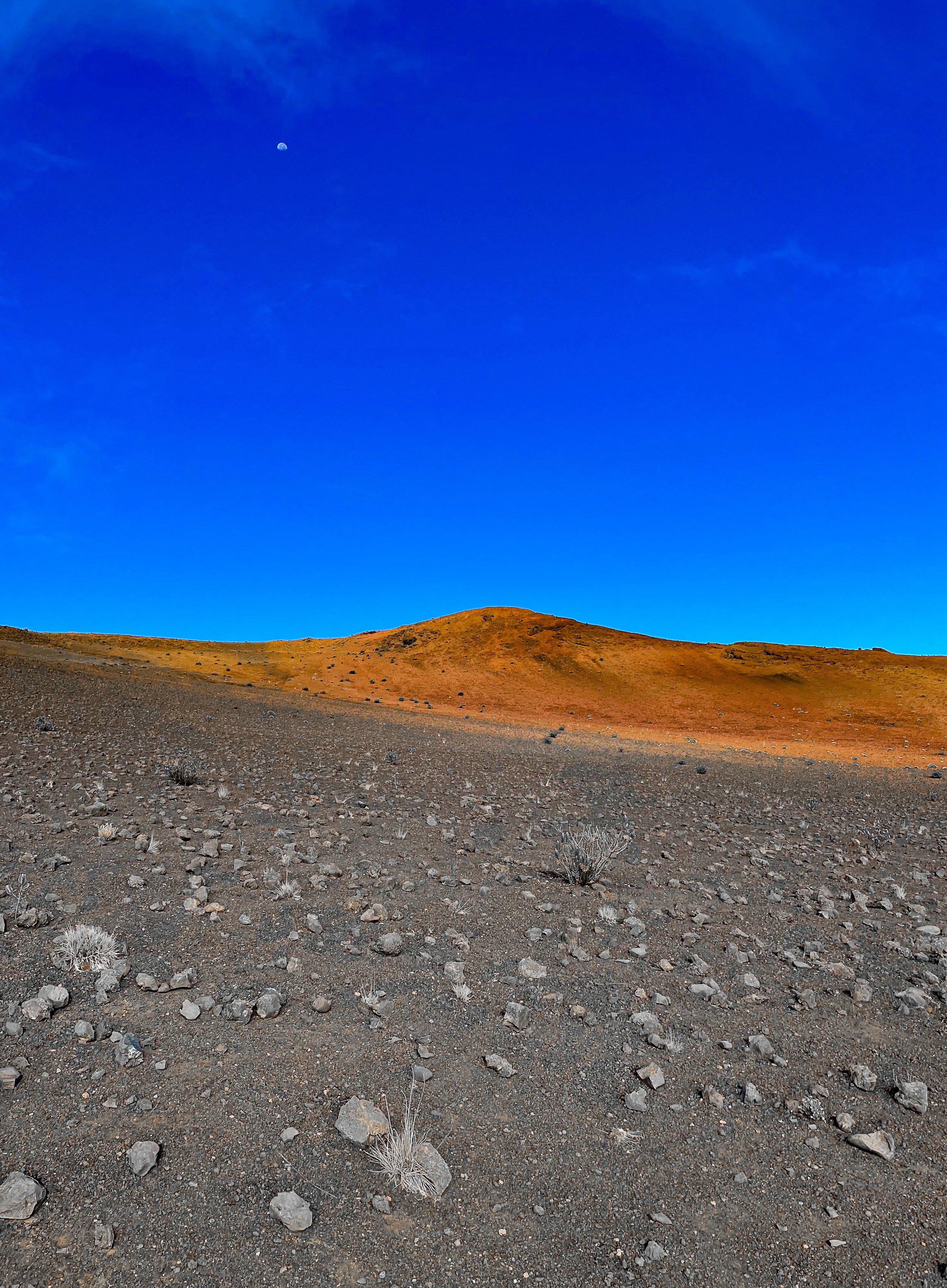 haleakala skies