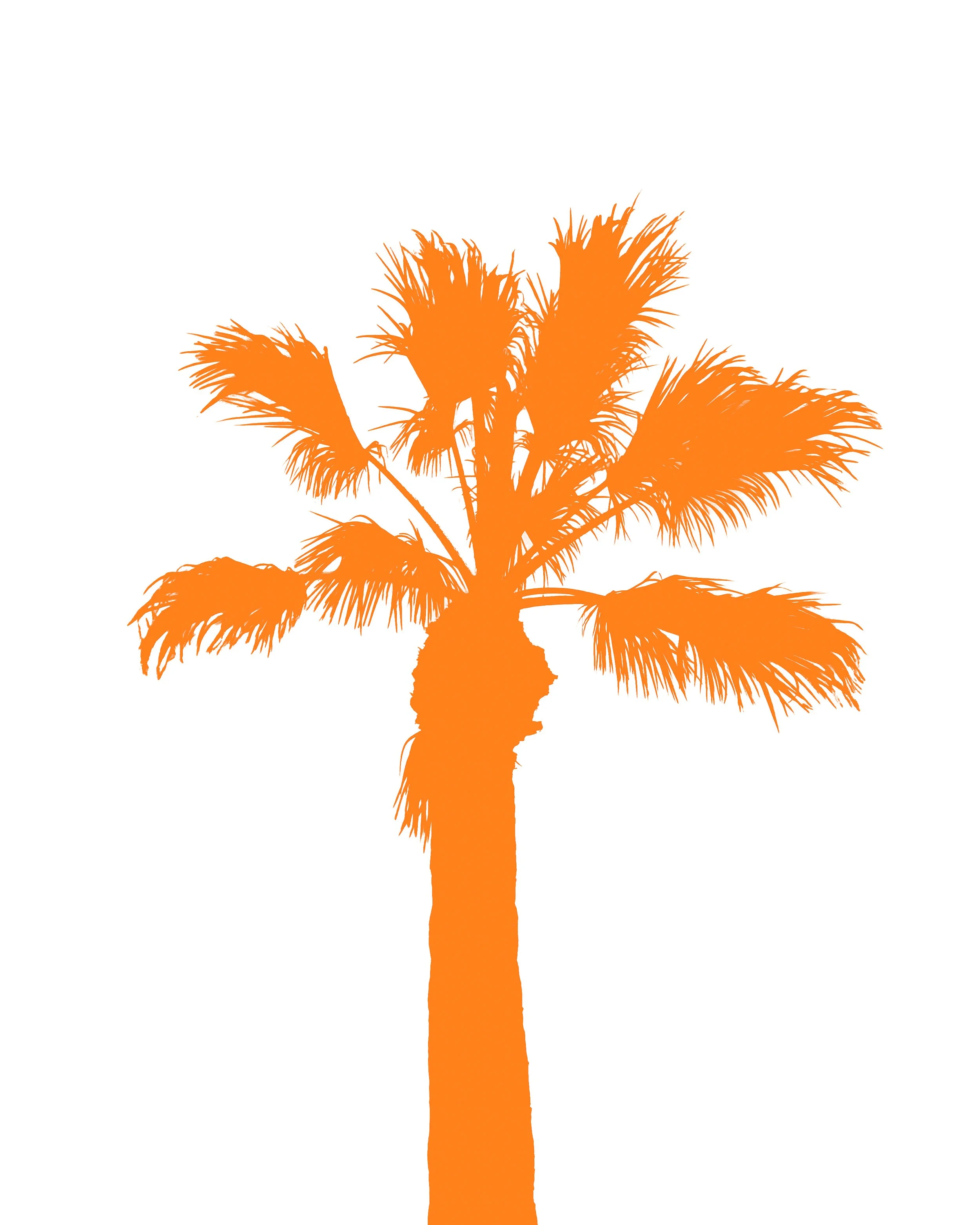 Silhouette of a Palm Tree in Orange