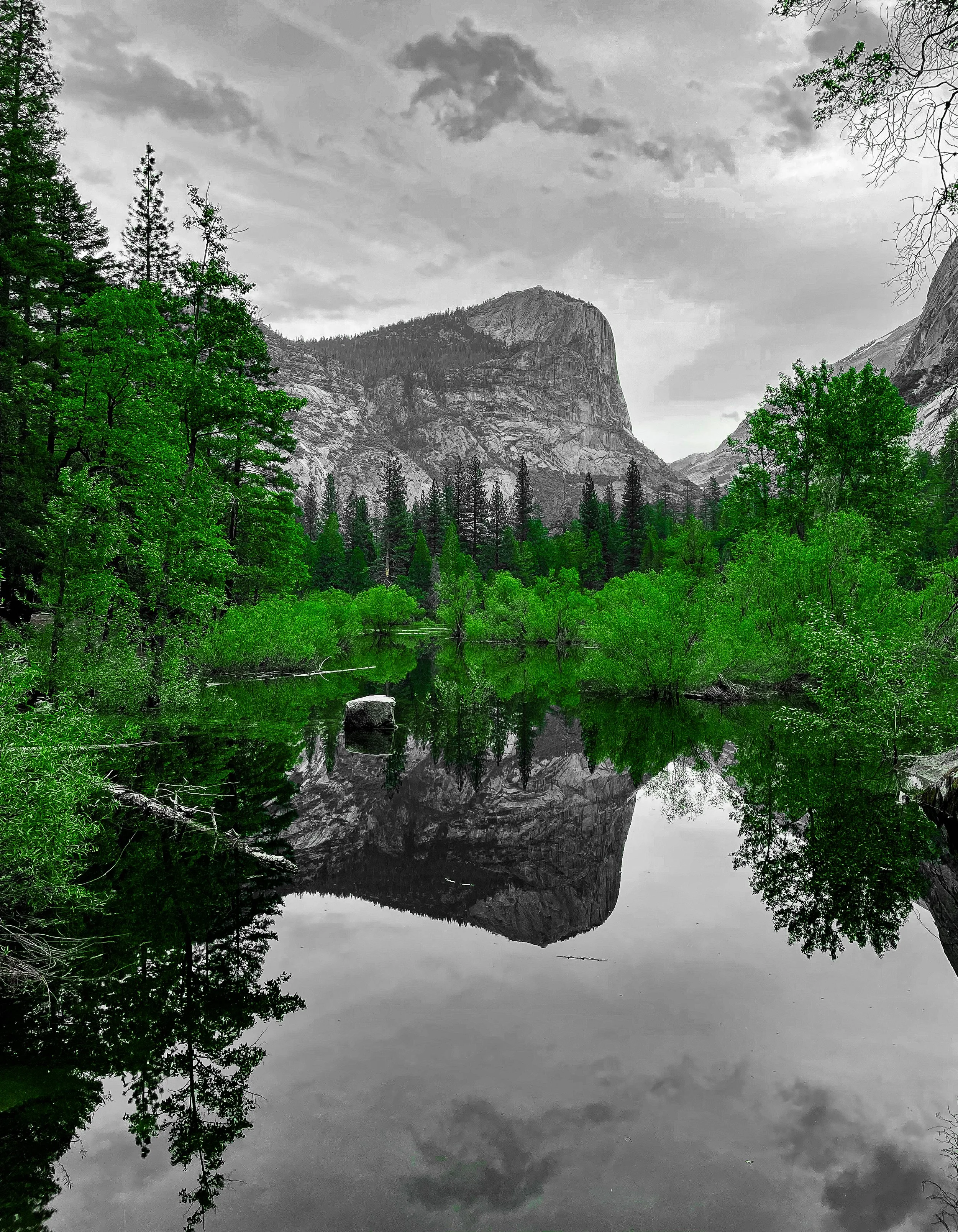 Mirror Lake Reflection.jpg