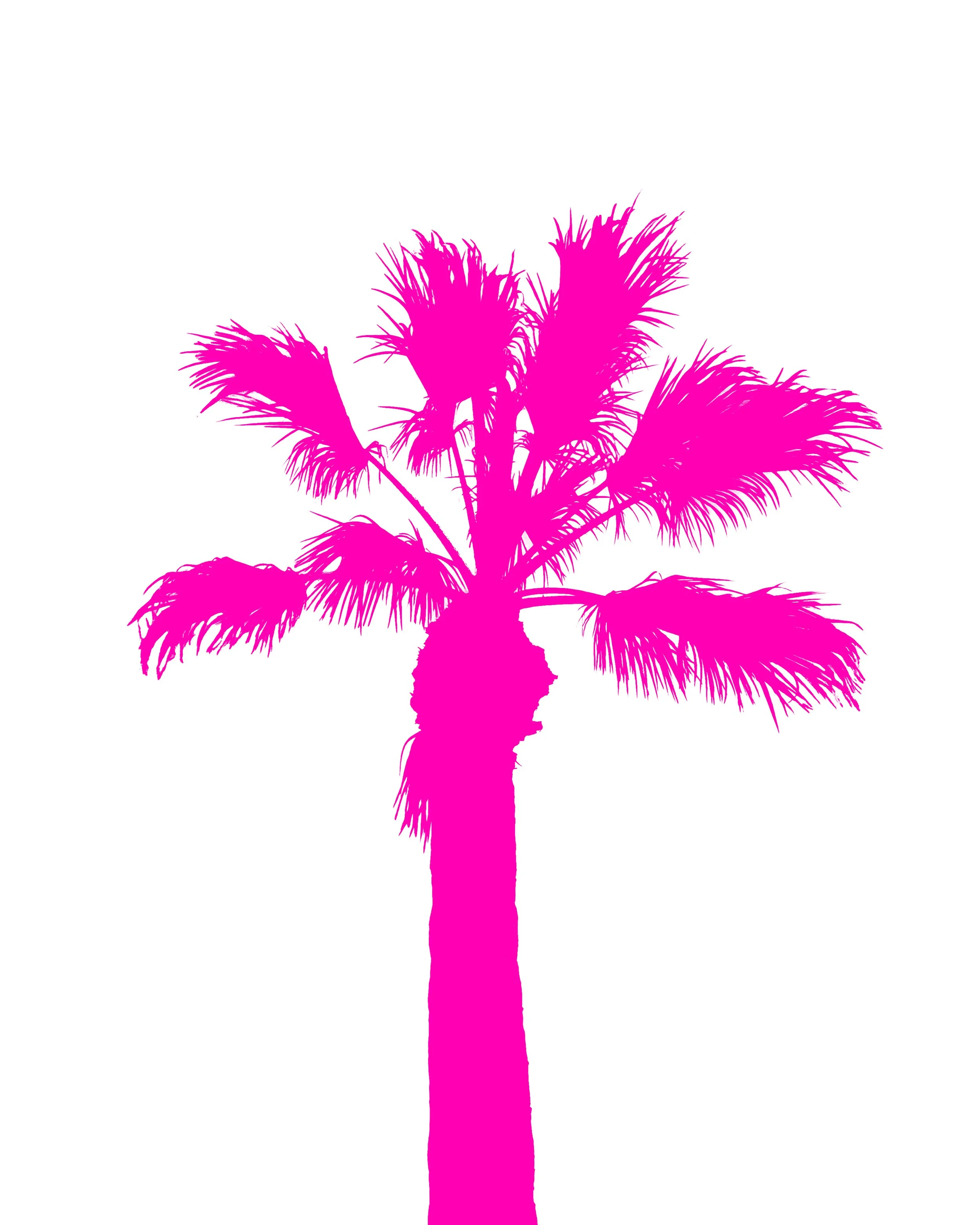 Silhouette of a Palm Tree in Pink