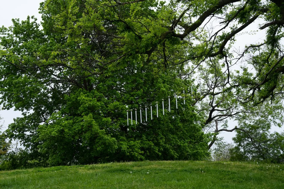 07. Benton Park