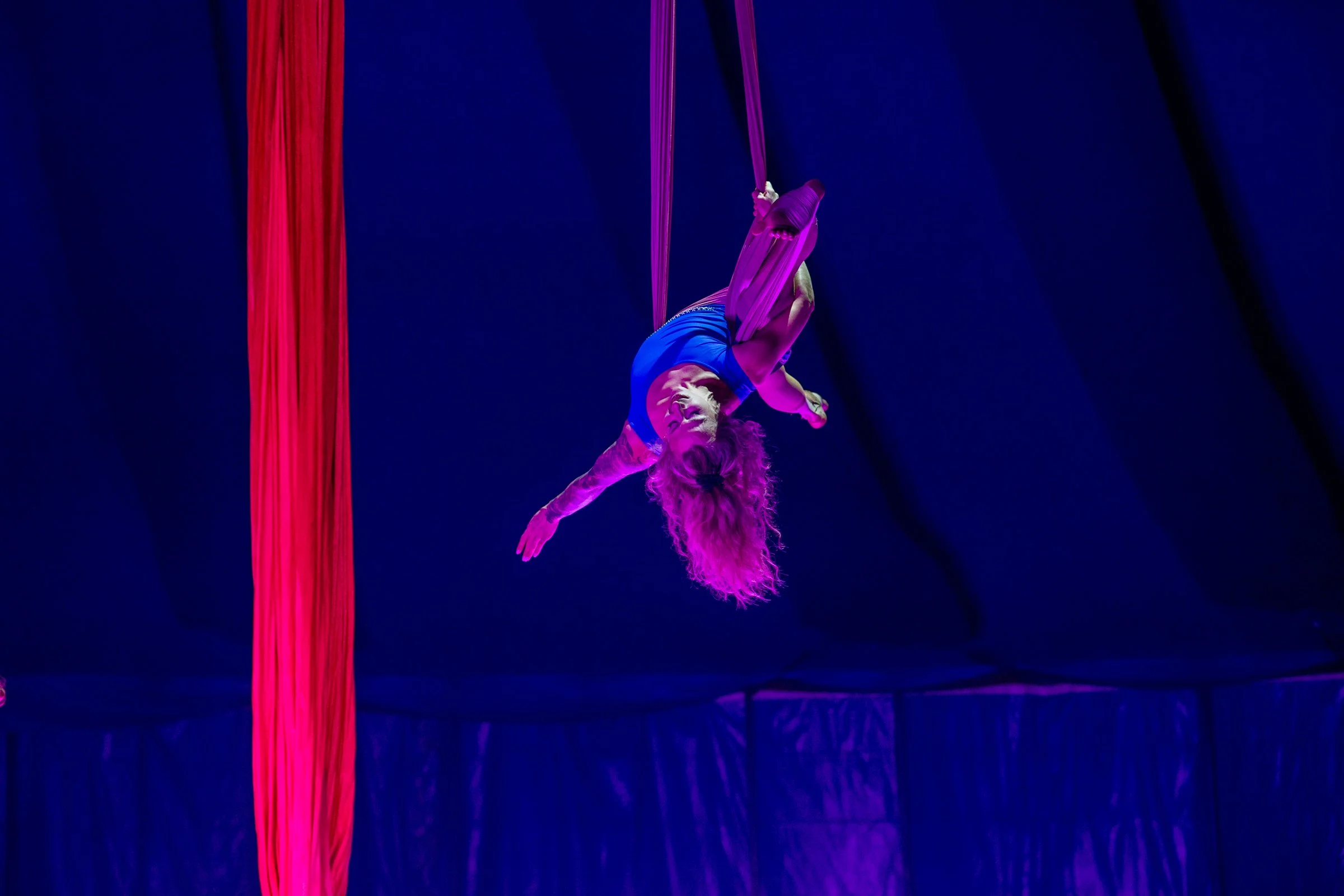 Counterpublic CIRCUS OF LIFE_Saturday_Carly Ann Faye_316.jpg