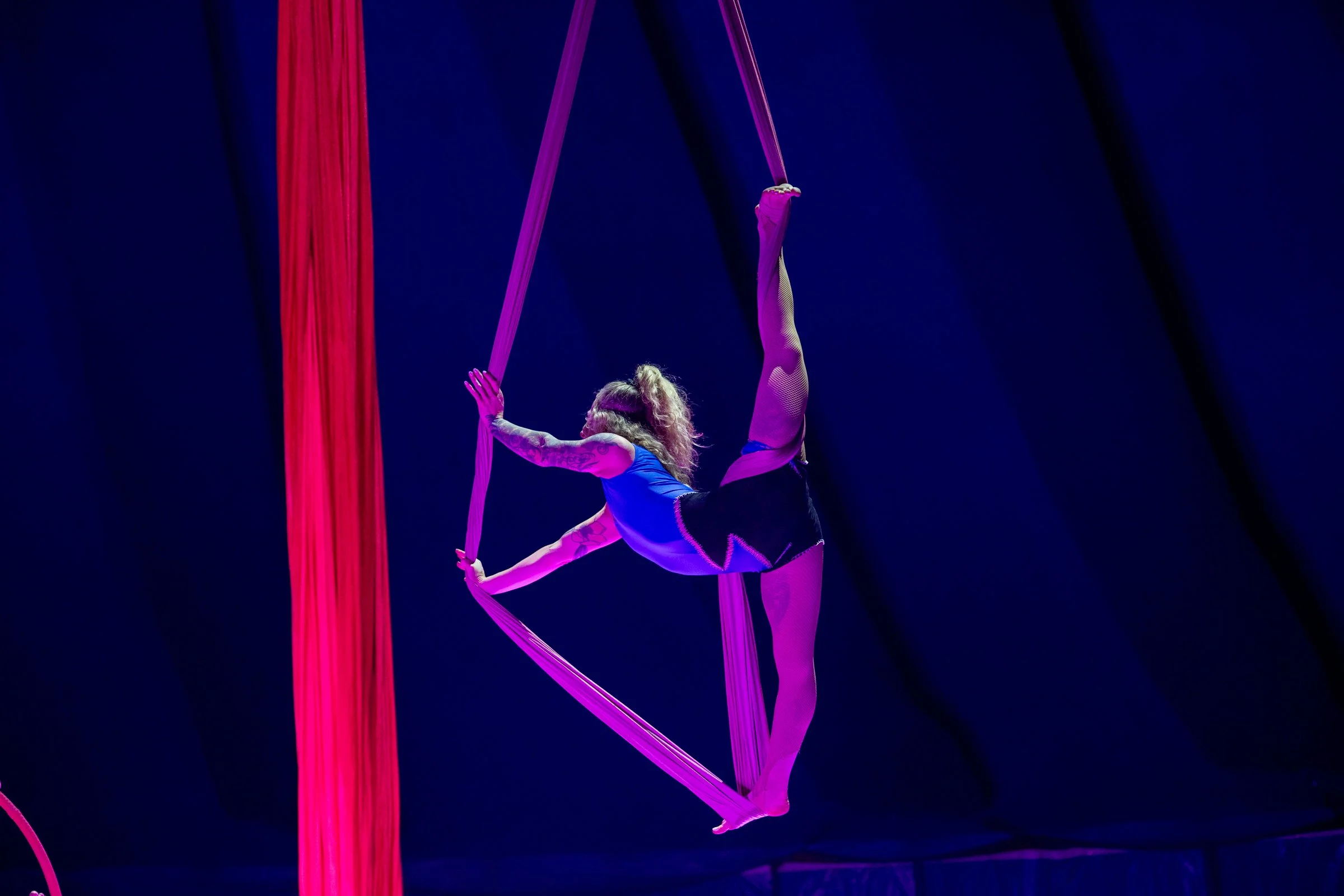 Counterpublic CIRCUS OF LIFE_Saturday_Carly Ann Faye_317.jpg