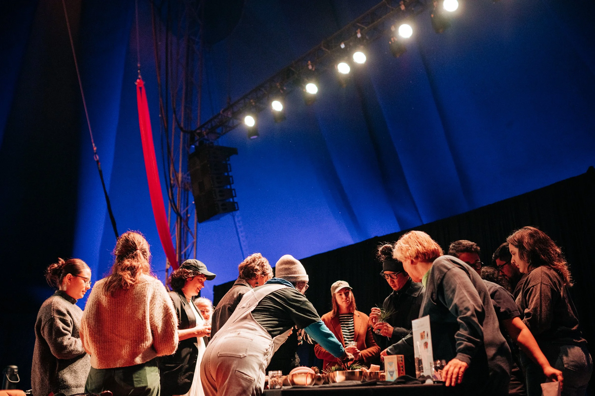 Counterpublic CIRCUS OF LIFE_Saturday_Carly Ann Faye_100.jpg