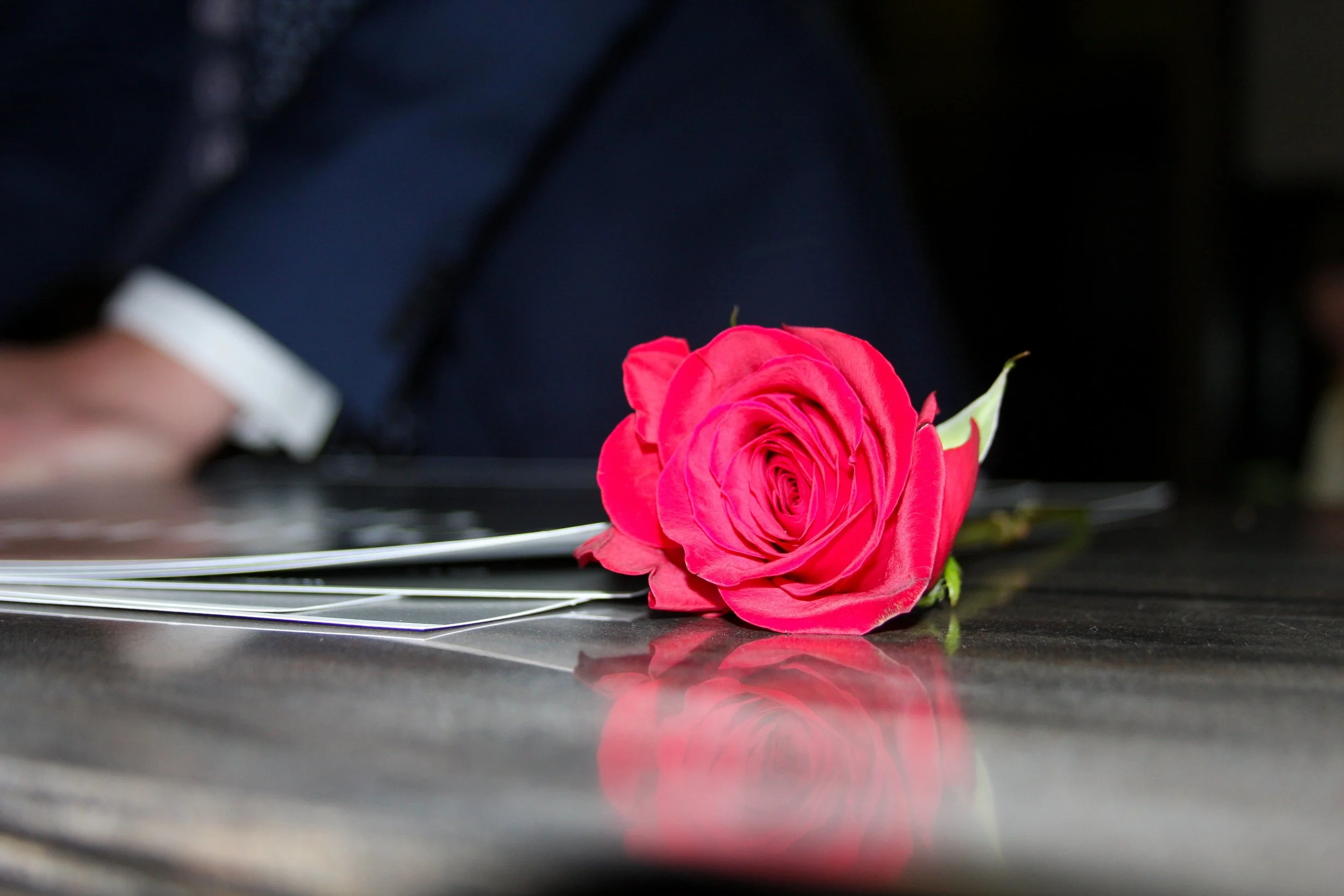 A single pink rose lies on a dark wooden table with its reflection visible, with a blurred background of a person in a dark suit.