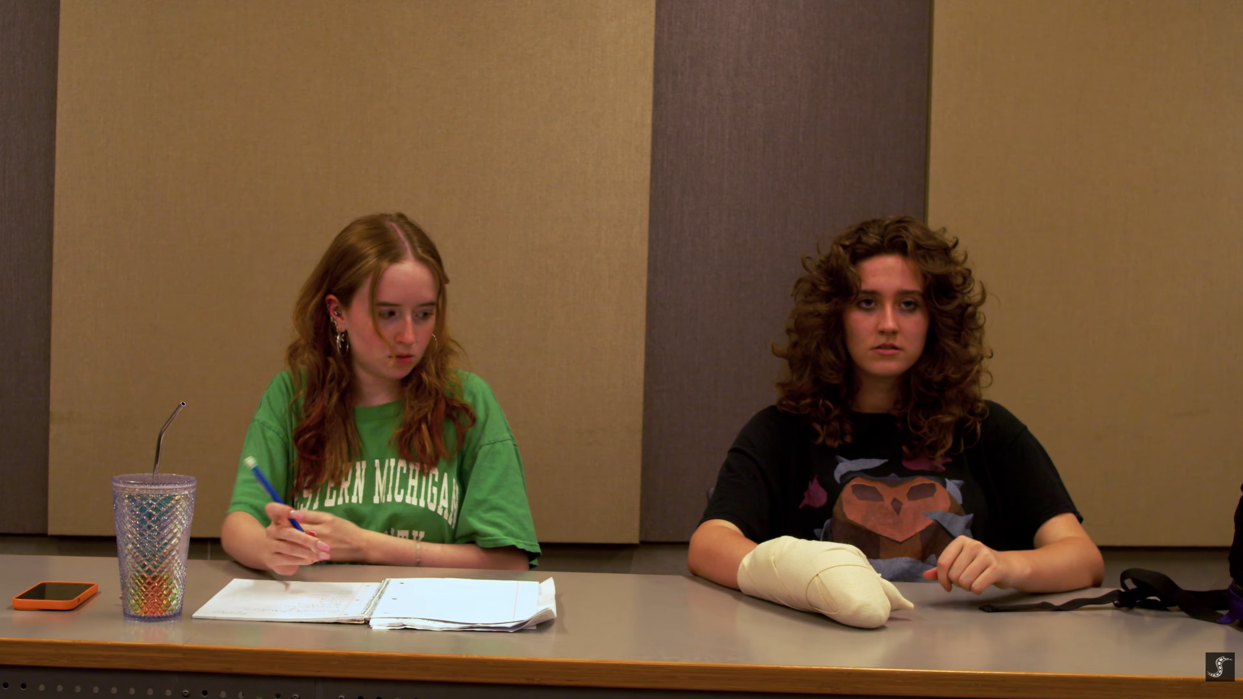 Two young women sitting at a table with notebooks and a drink, one wearing a green T-shirt and the other wearing a black T-shirt with a lion graphic, in a room with beige and brown wall panels.