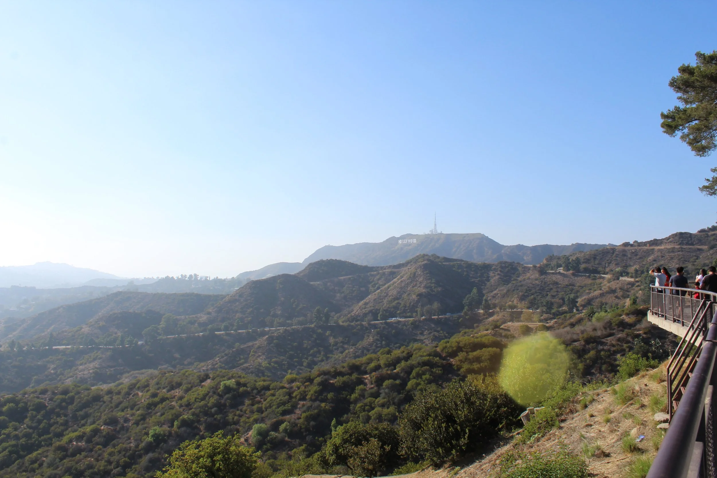 The Hollywood Hills 2026