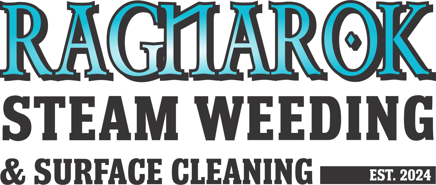 Ragnarok Steam Weeding and Surface Cleaning