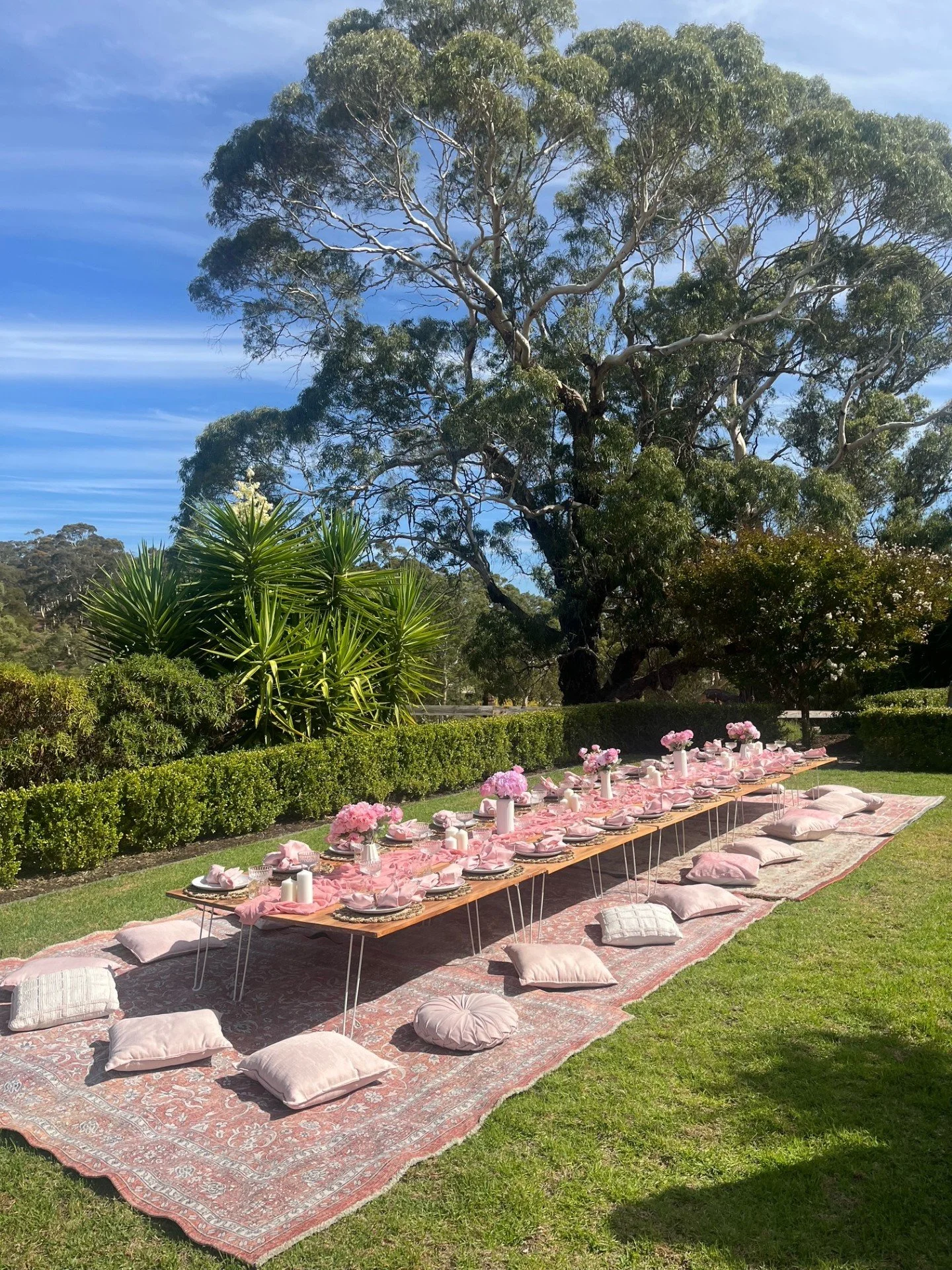 Event Hire Adelaide Large Picnic Packages — Wild One Events
