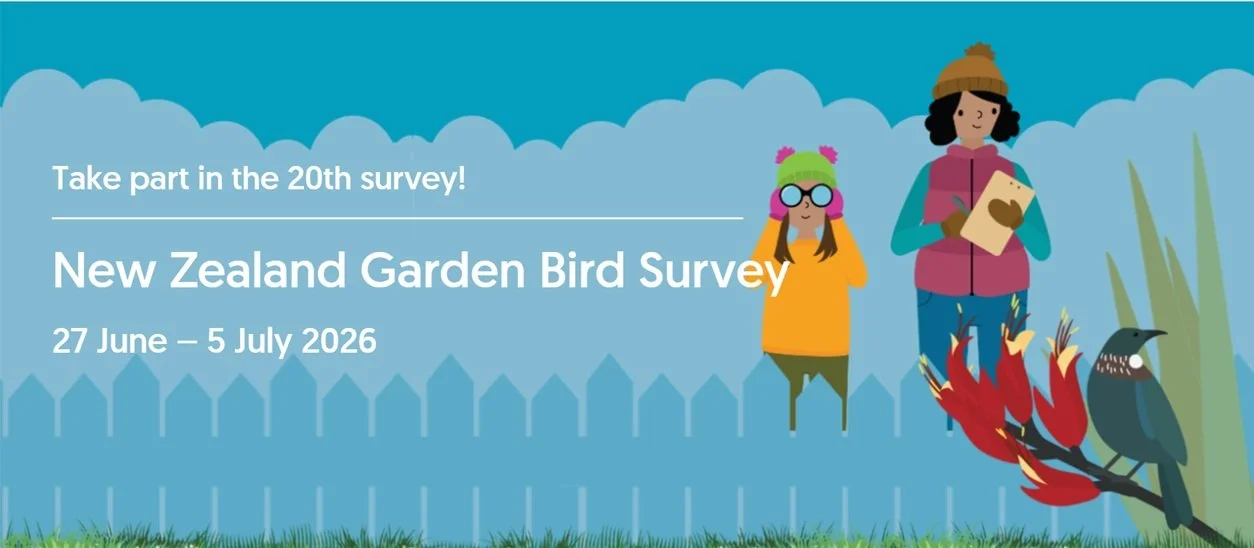Garden Bird Survey
