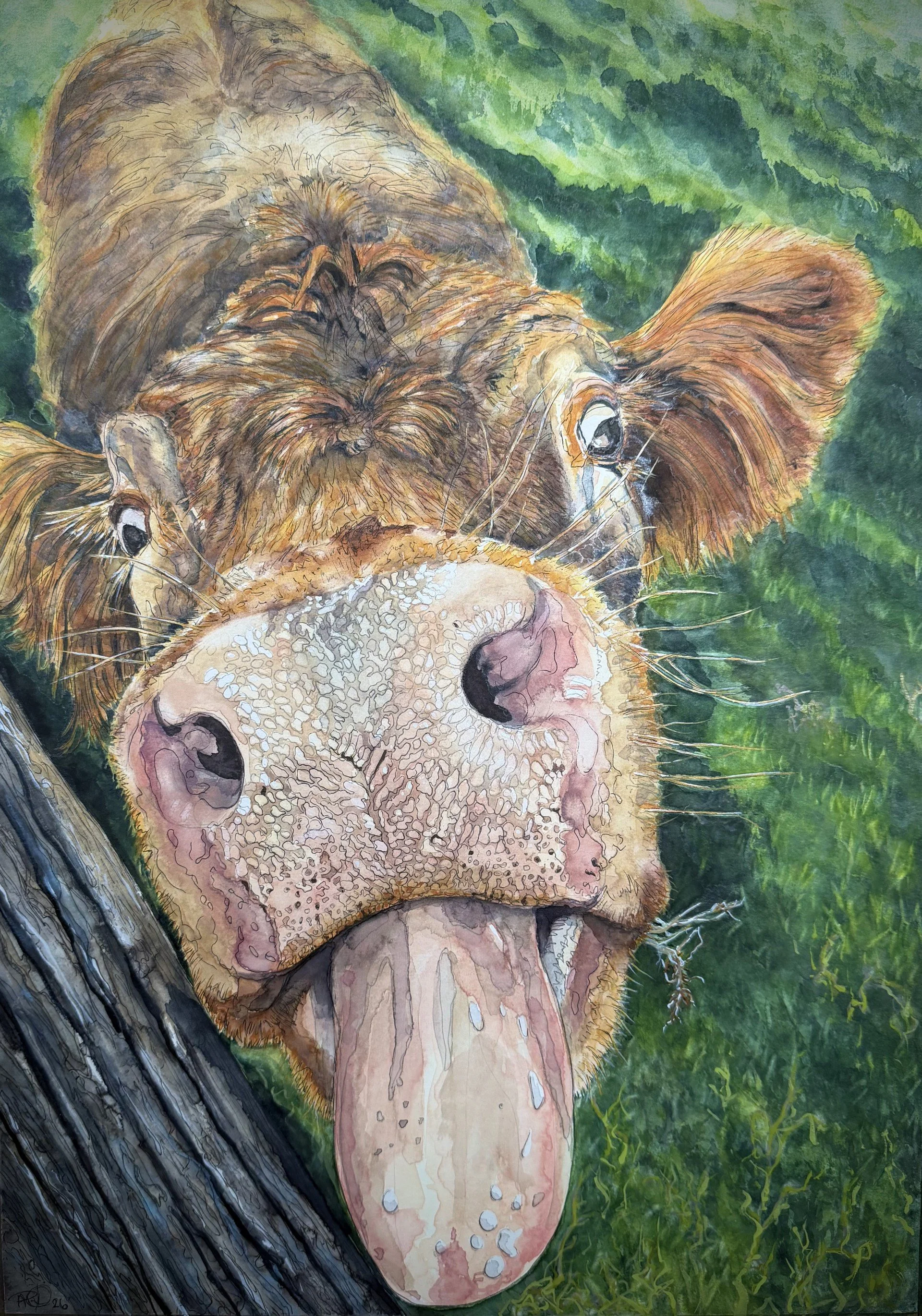 SECOND PRIZE
Anna Deacon
Bella
Comments: I was immediately drawn to this painting by its playfulness. Technically very well executed.
