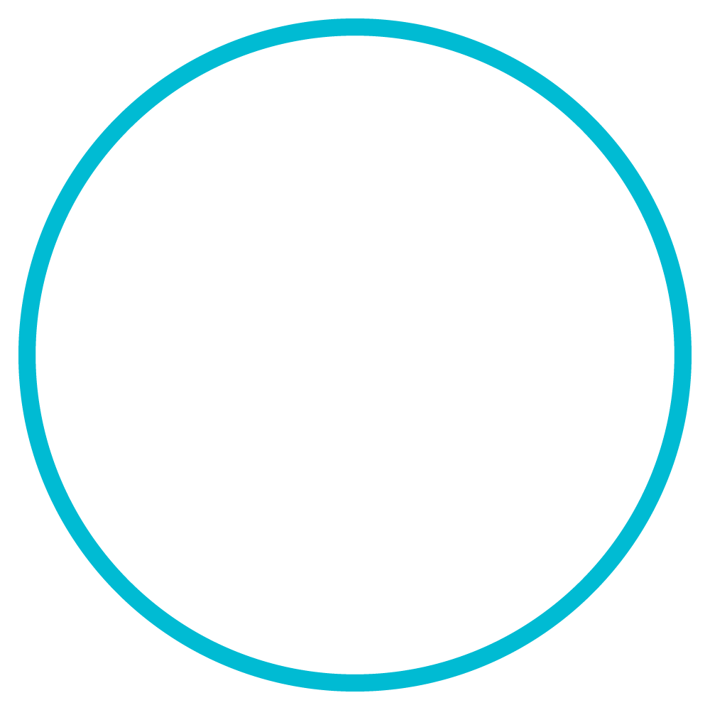Multiple circles with employees in them connected into a large network - Large-Scale Volunteer Campaigns Icon