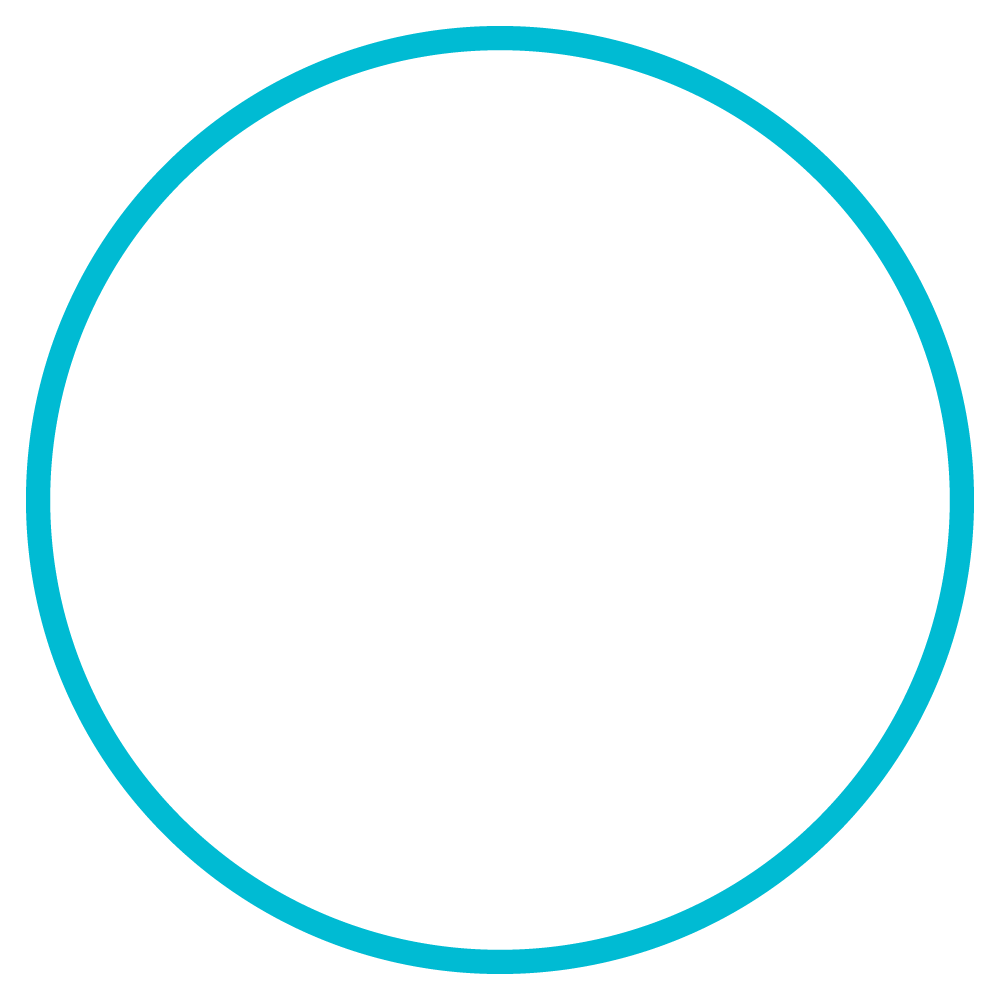 Multiple circles with employees in them connected into a large network - Large-Scale Volunteer Campaigns Icon