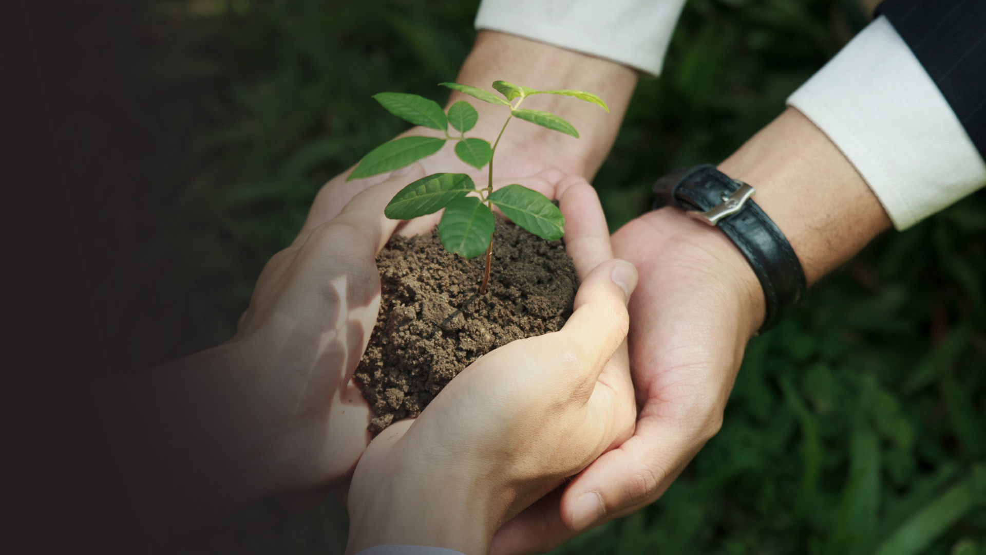 Two pairs of hands reaching out and holding a pile of dirt together with a plant growing