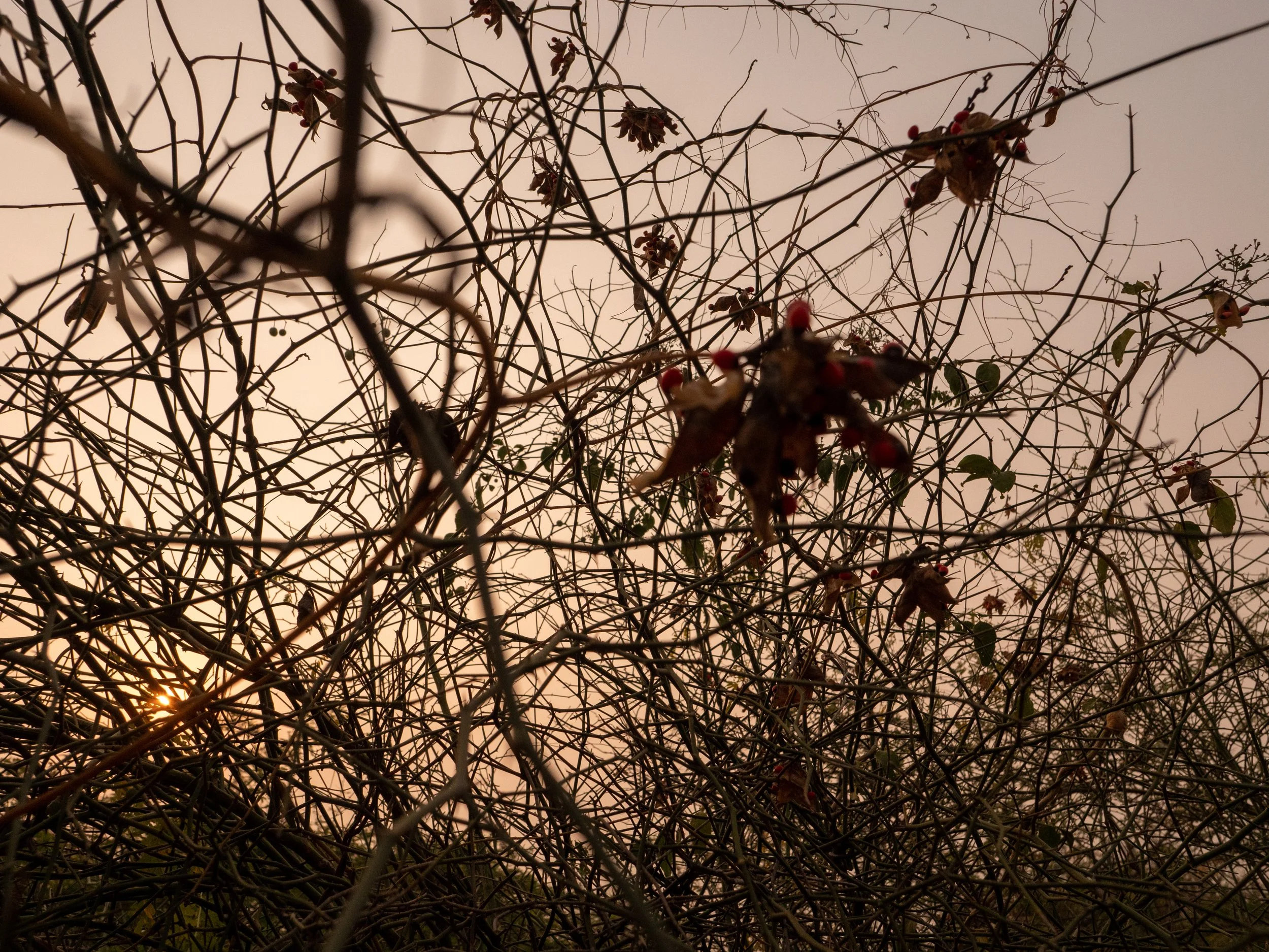 P1044857.jpg