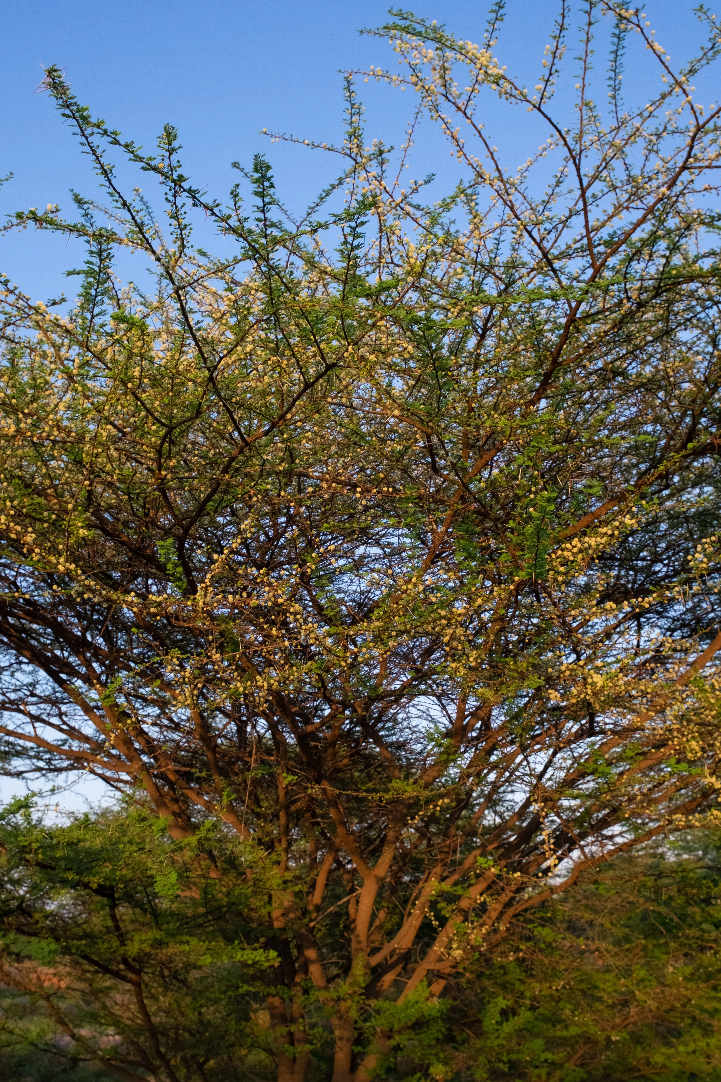 DSCF0435.jpg