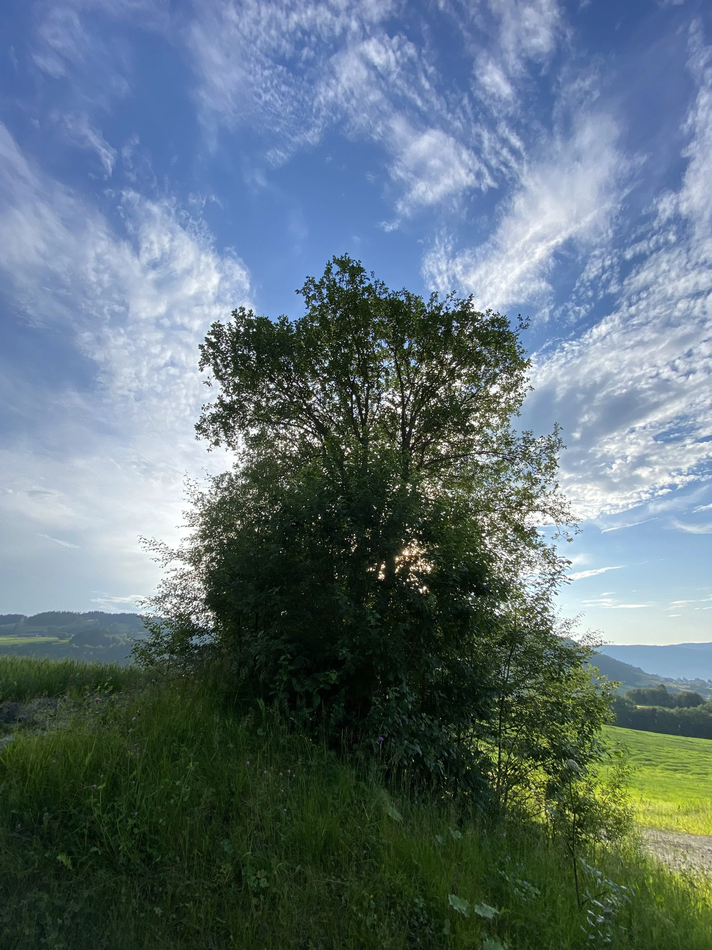 norwegian-countryside7.jpeg