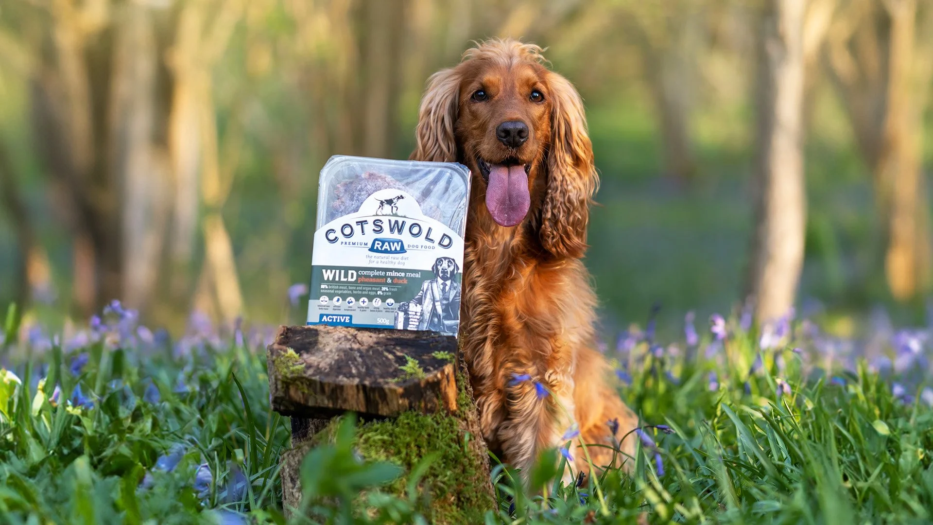 Cotswold RAW