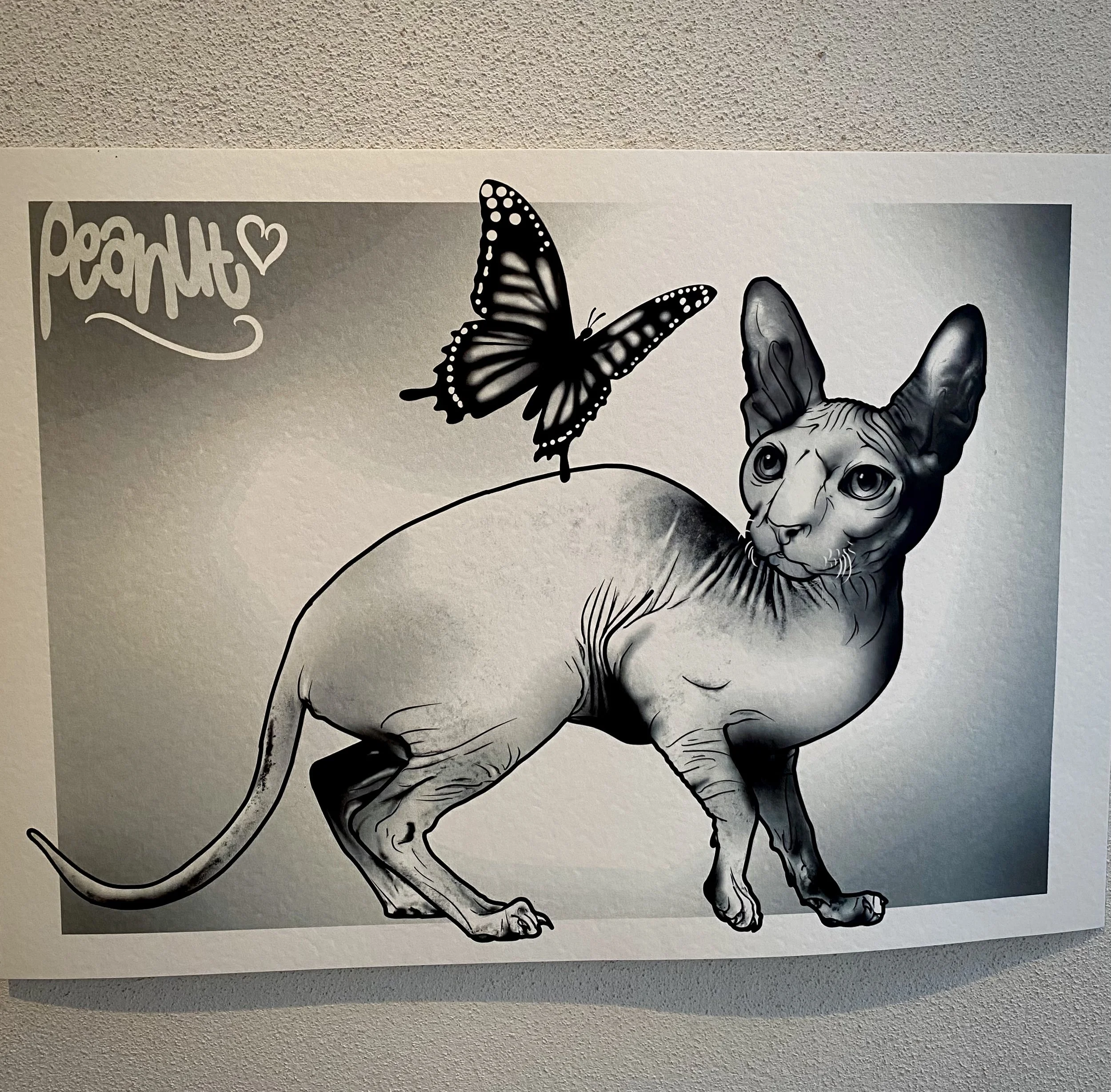 Brisbane Illustrator design work pet commission.jpeg