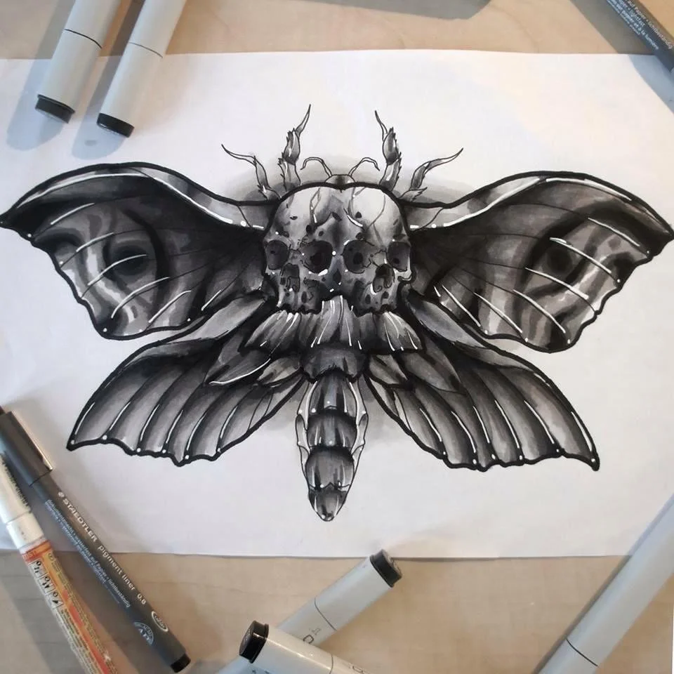 Brisbane Illustrator design work moth drawing.jpeg
