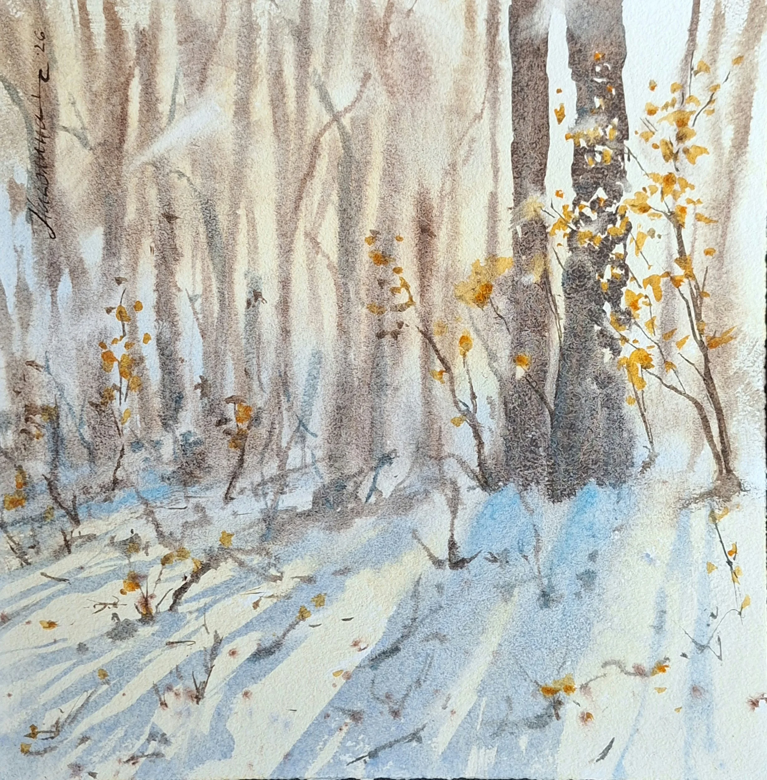 No21. "Зимна гора", 29х29см, 60 евро