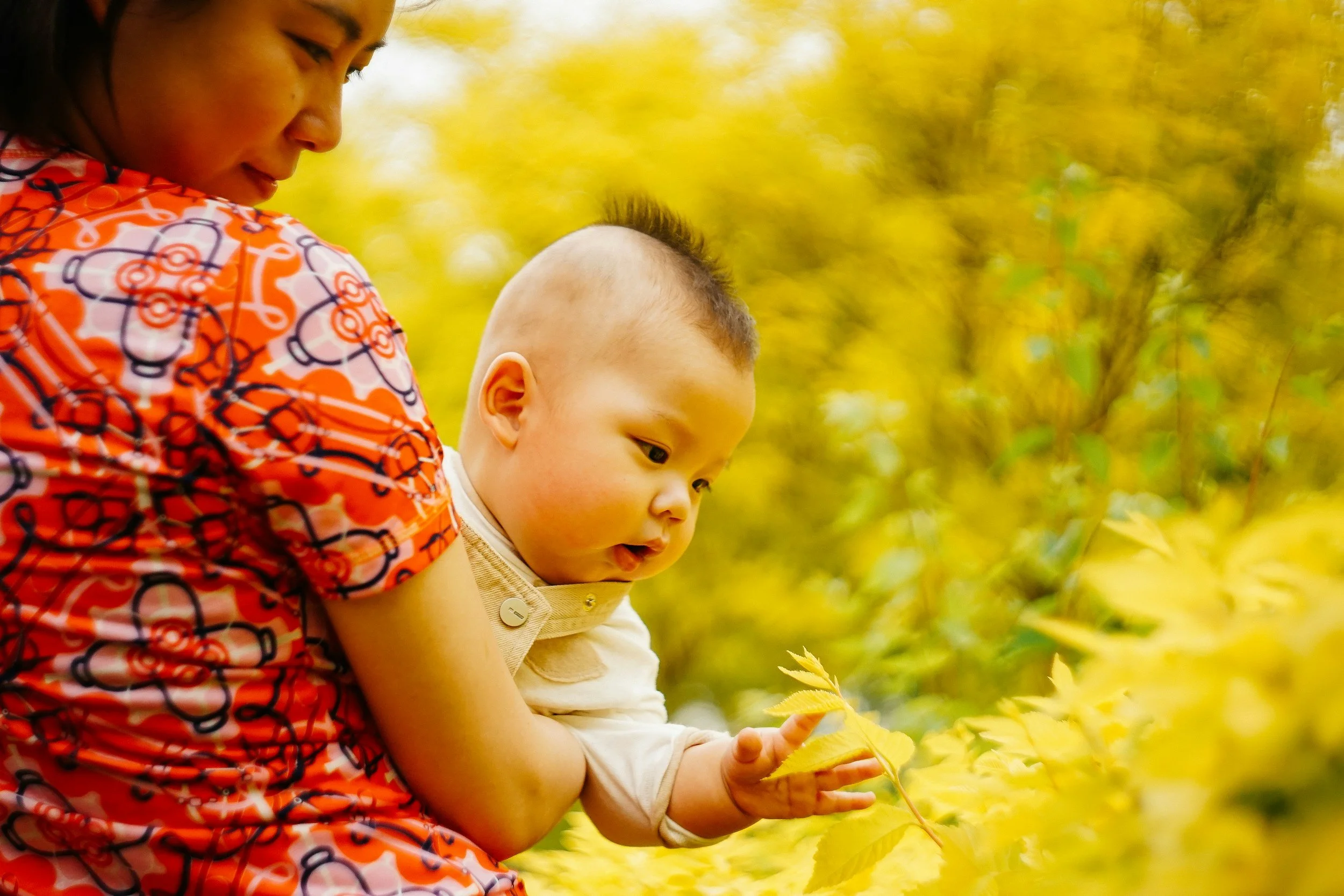 Egg Donation Across Asia: A Country-by-Country Comparison