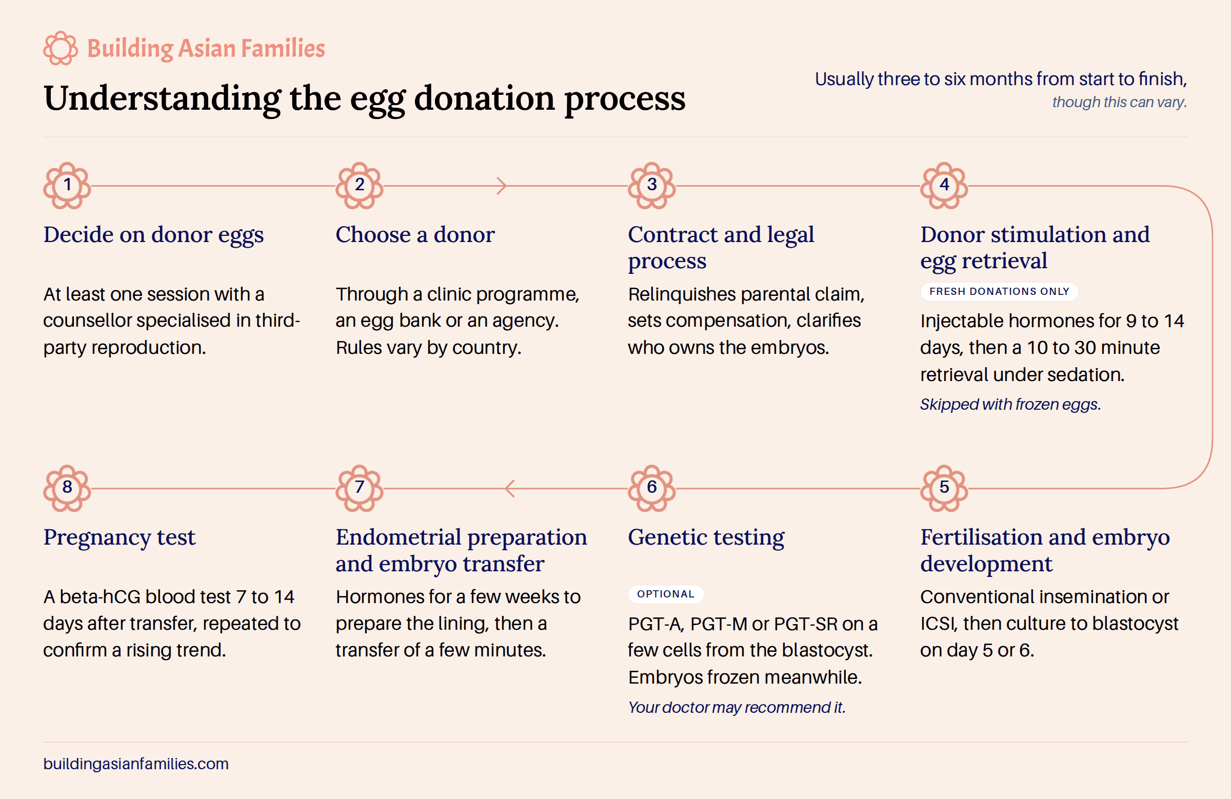 Understanding the Egg Donation Process: A Step-by-Step Guide