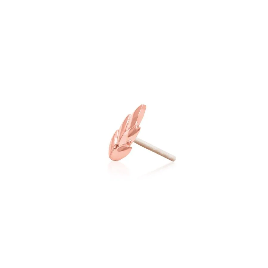 Image 19.jpeg
